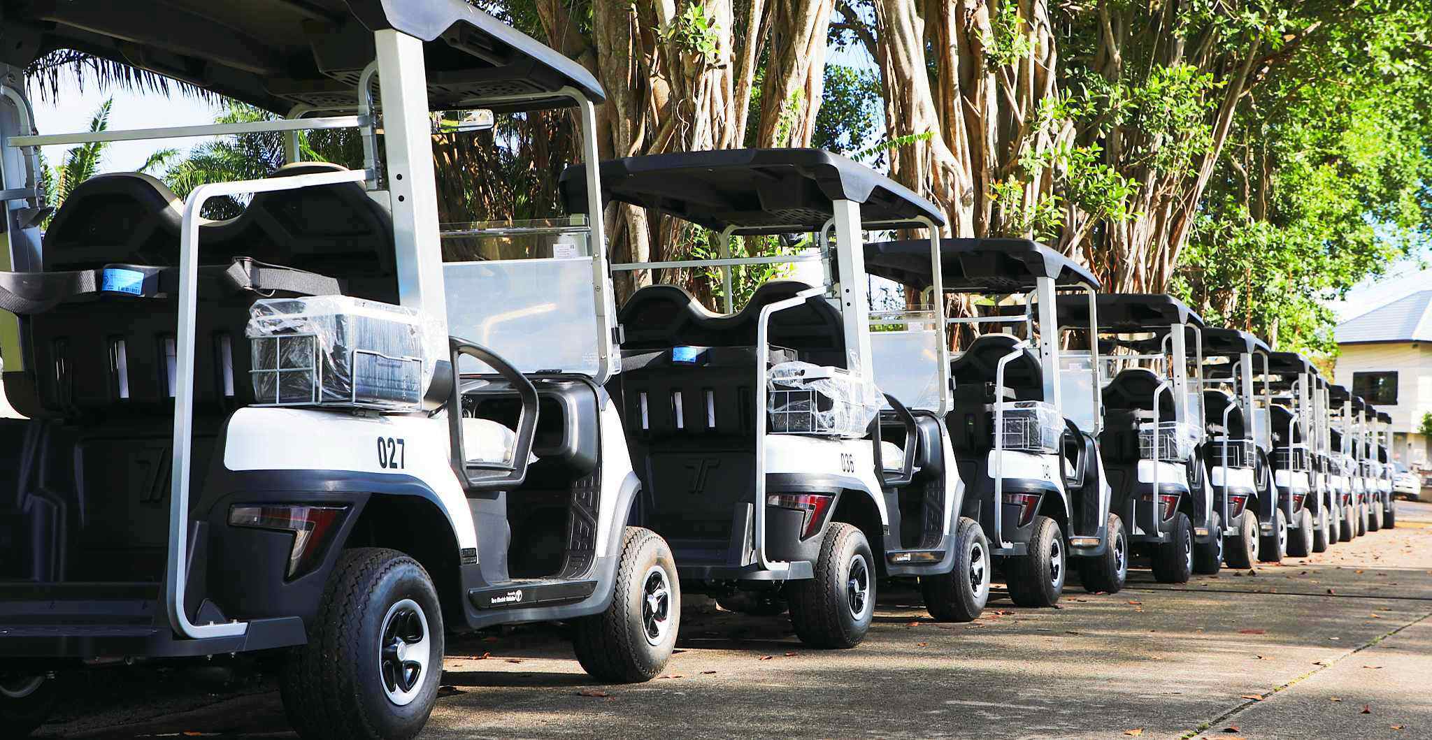 2026-best-golf-cart-tara-electric-golf-cart