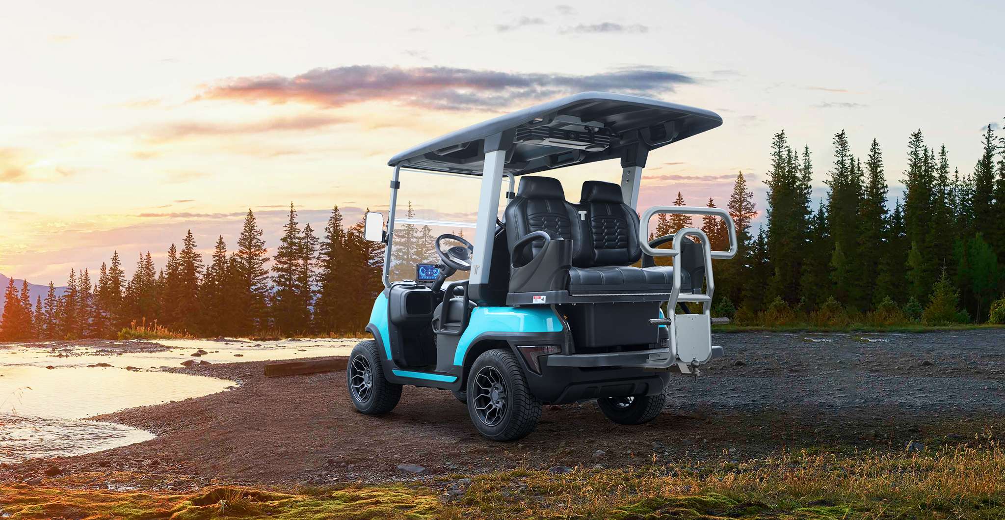 4 Wheel Electric Golf Cart by Tara on Golf Course