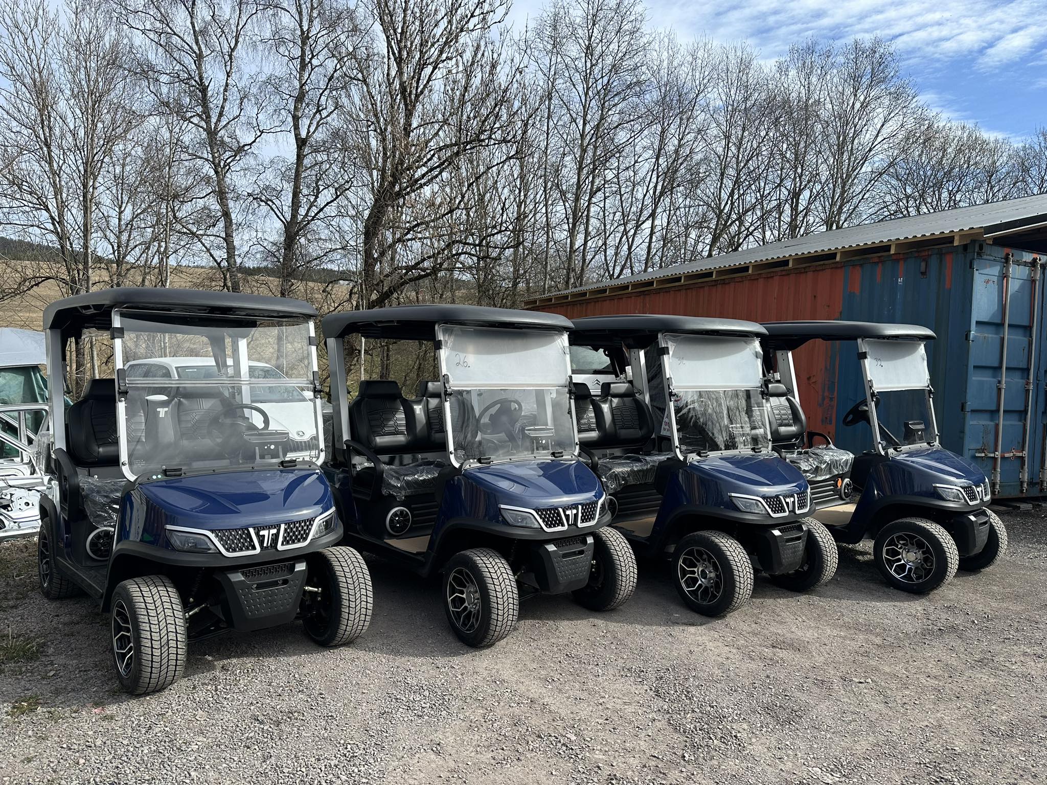 Tara golf cart in Norway