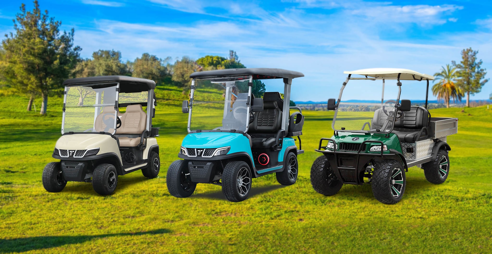 Comparison of Best Electric Golf Push Cart and Tara Electric Golf Cart