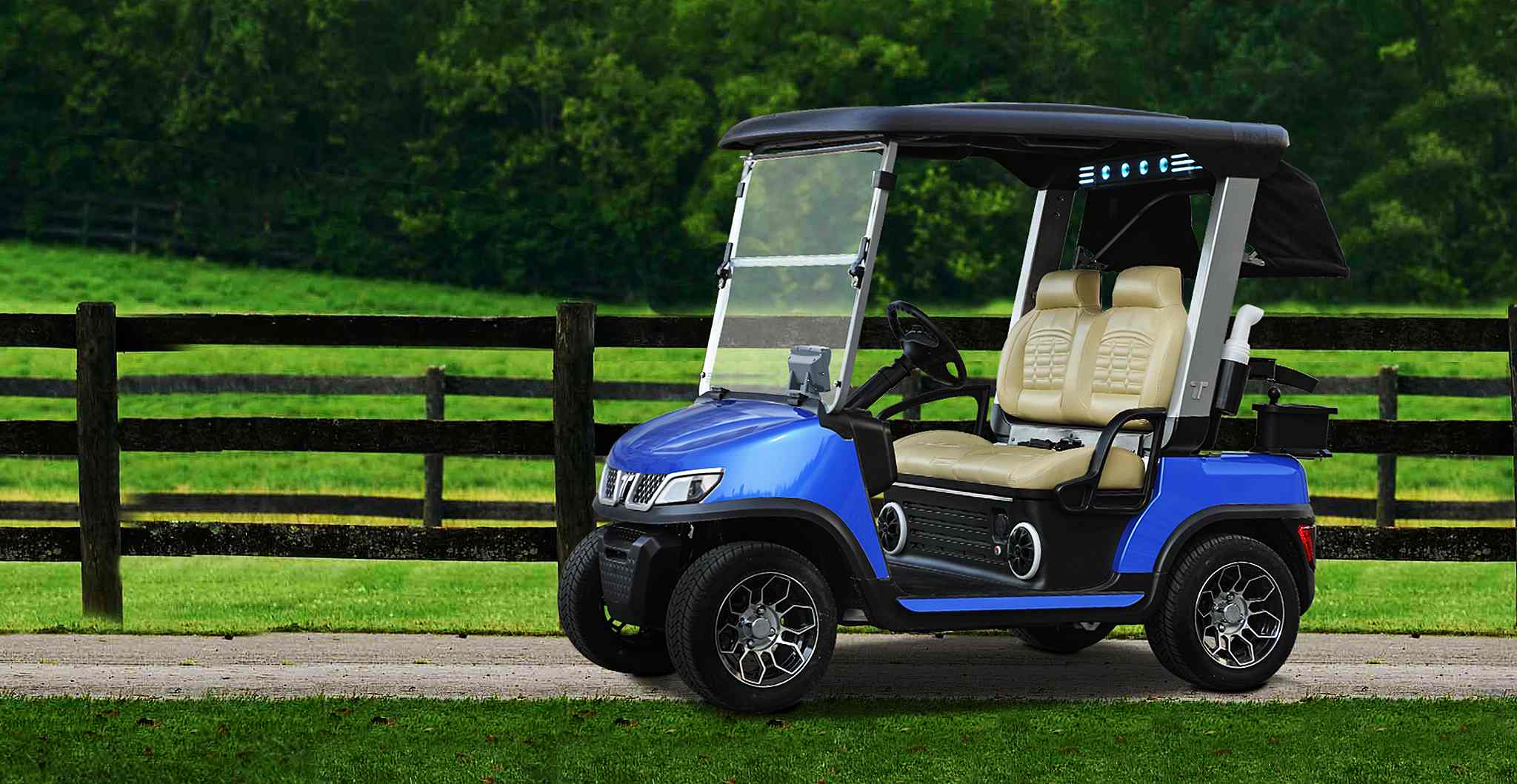 Electric Dealer Golf Cart by Tara