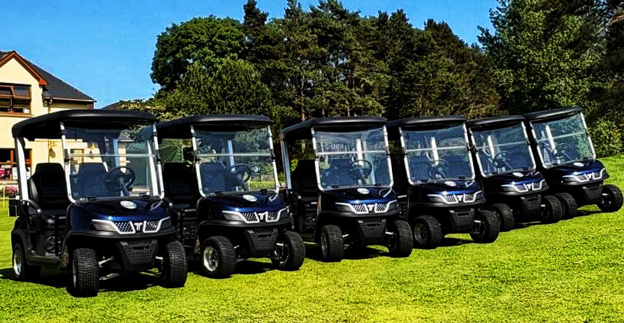 Electric Golf Cart Service on Golf Course