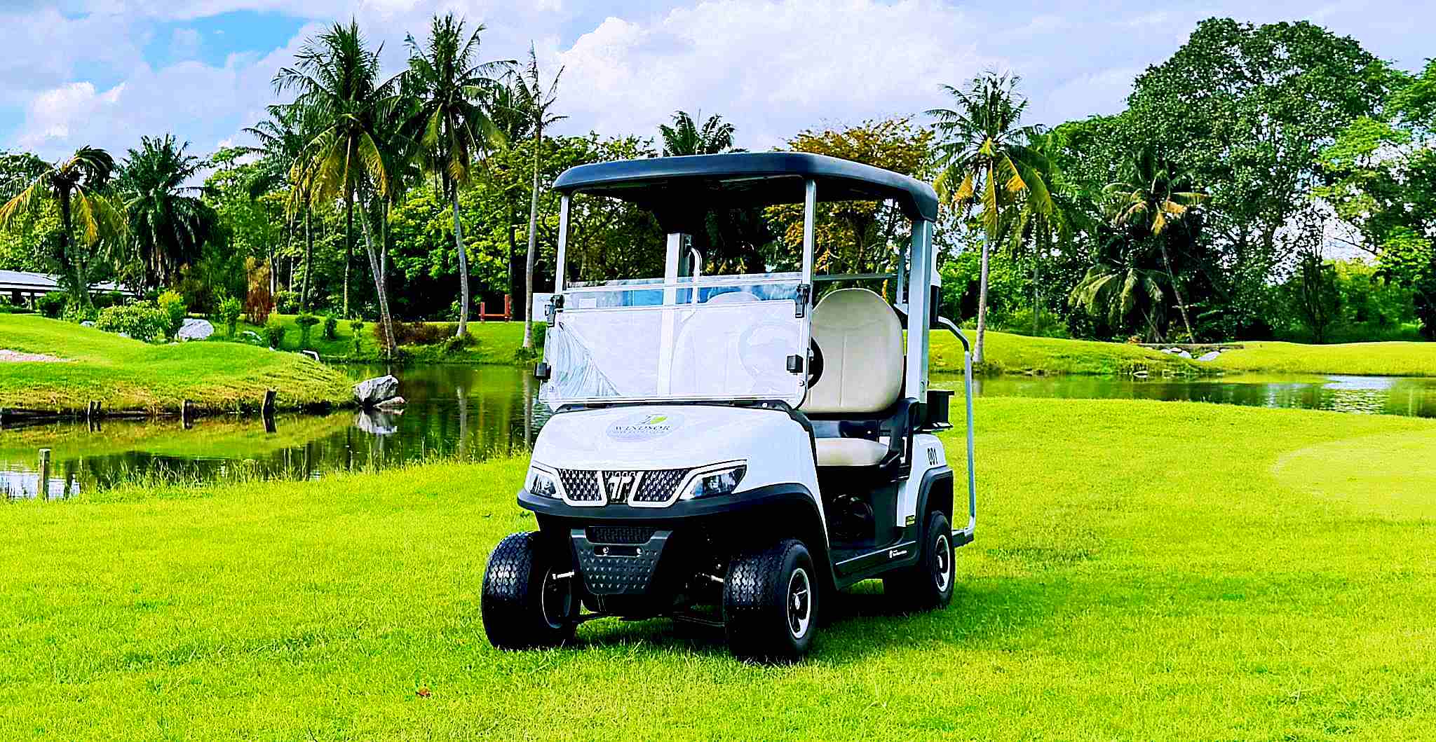 Electric Golf Cart for Golf Course Transportation