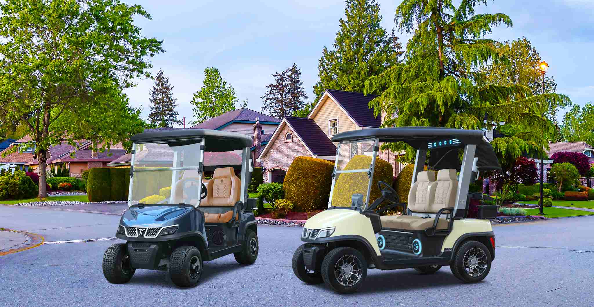 Electric Golf Cart for Golf Course Transportation