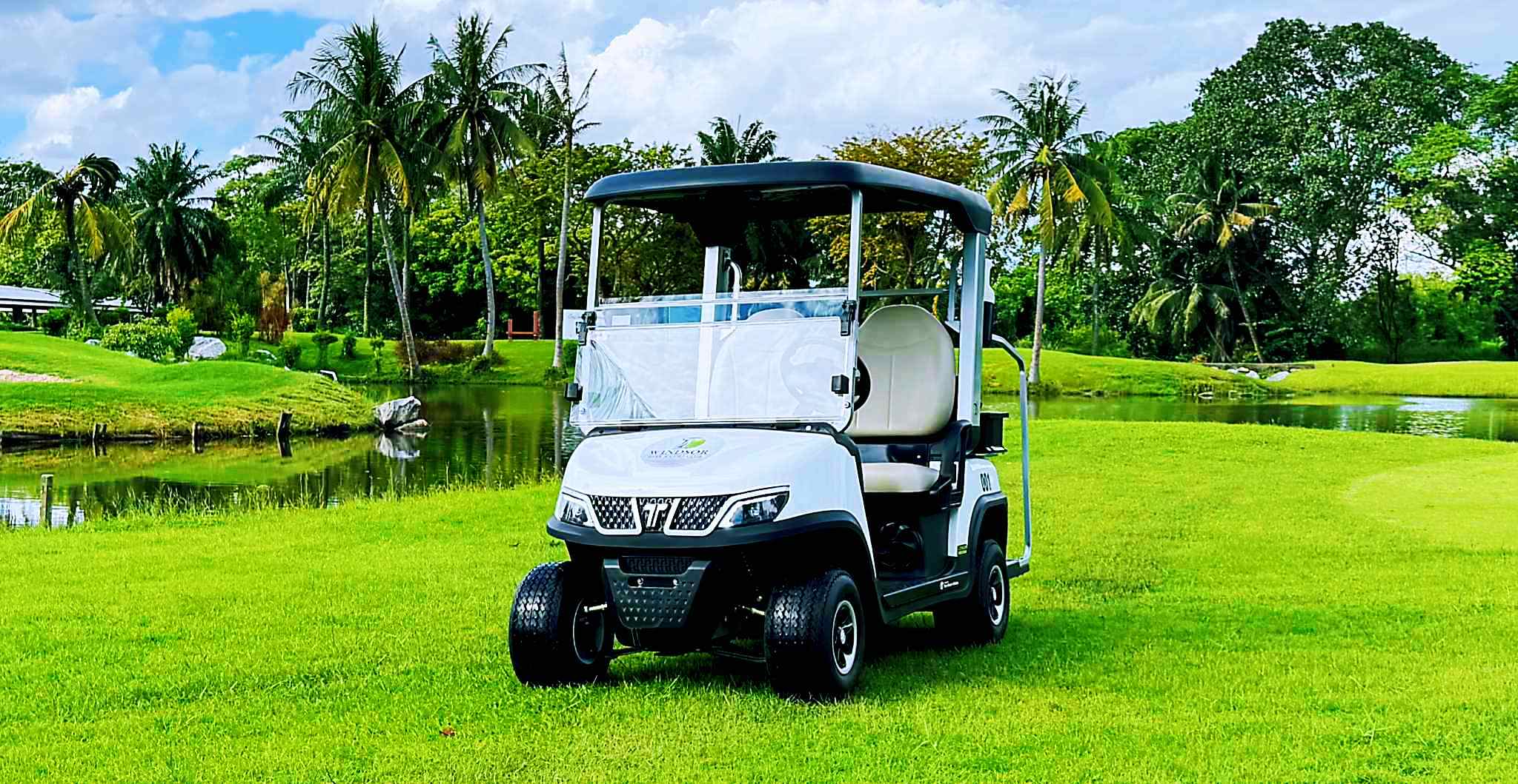 Fast Golf Carts with High-Speed Electric Power by Tara