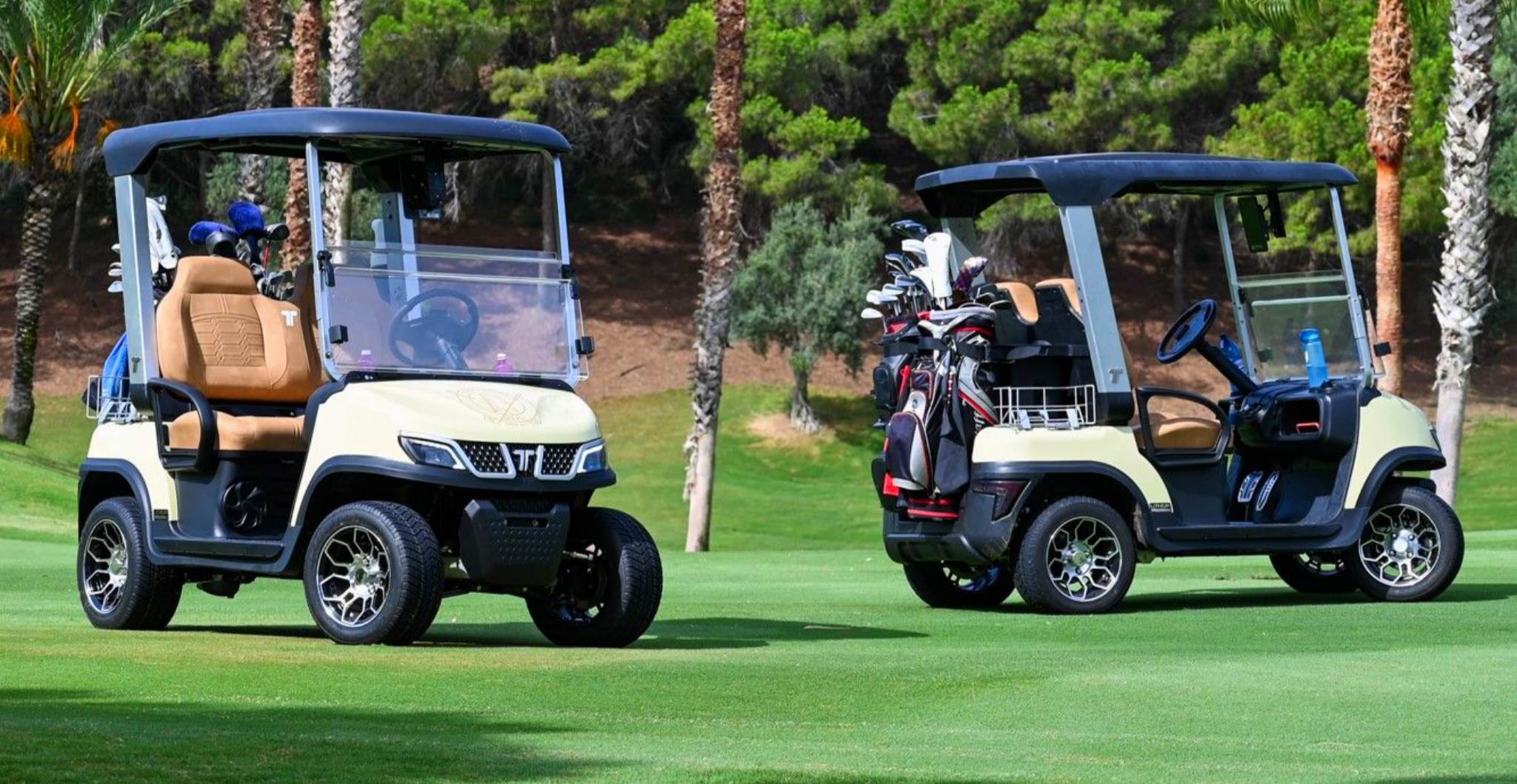 Golf Cart Battery Life and Fleet Management