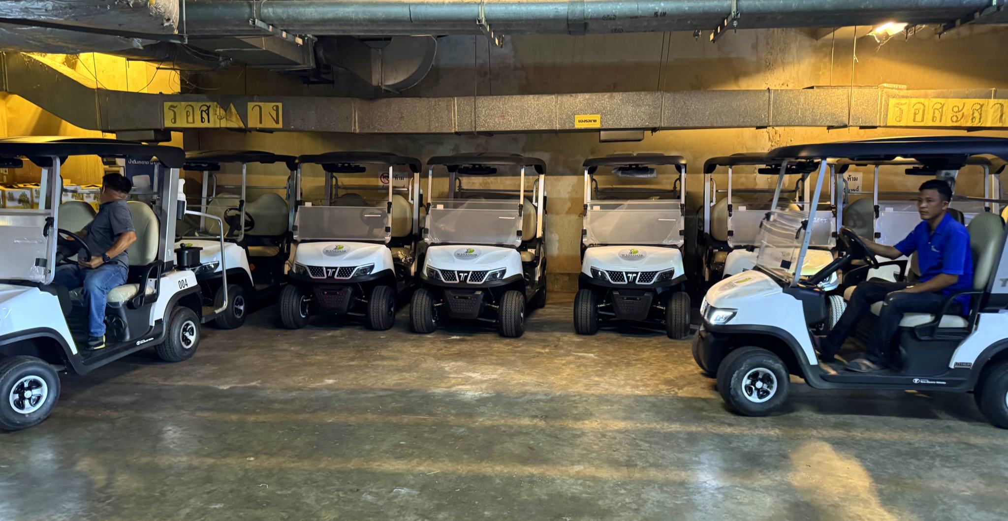 Golf Cart Battery and Storage Maintenance