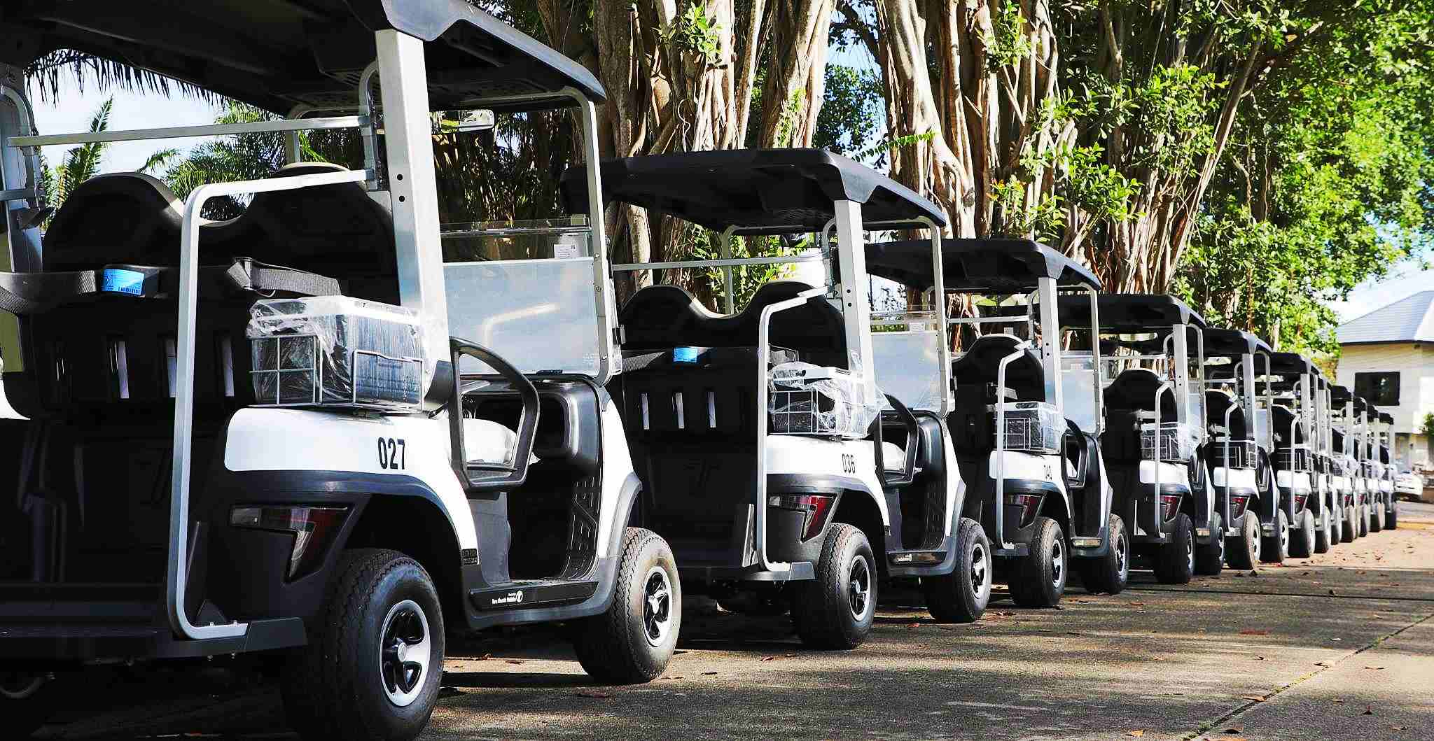 Golf Cart Warehouse Overview