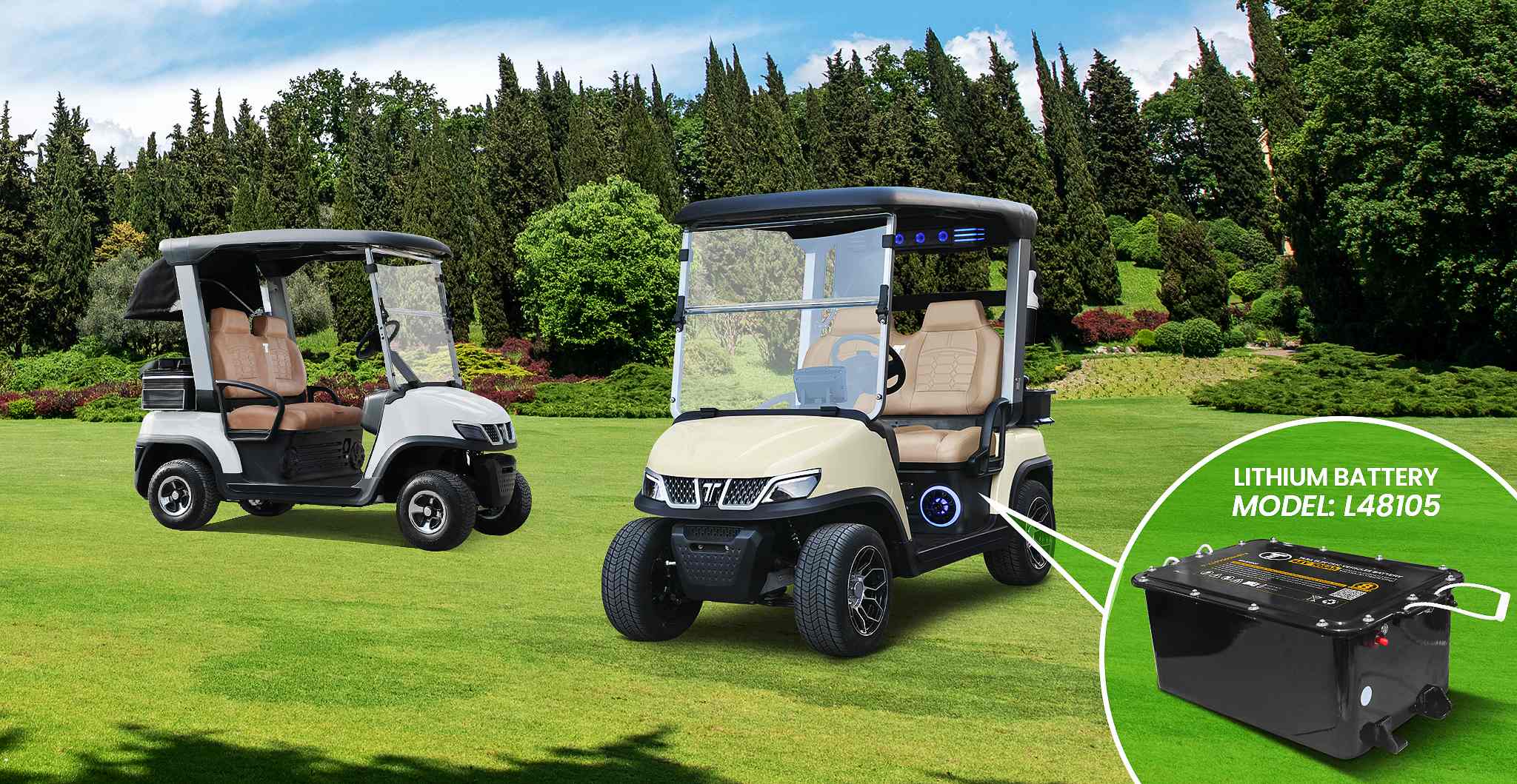 Lithium Battery For Golf Cart by Tara