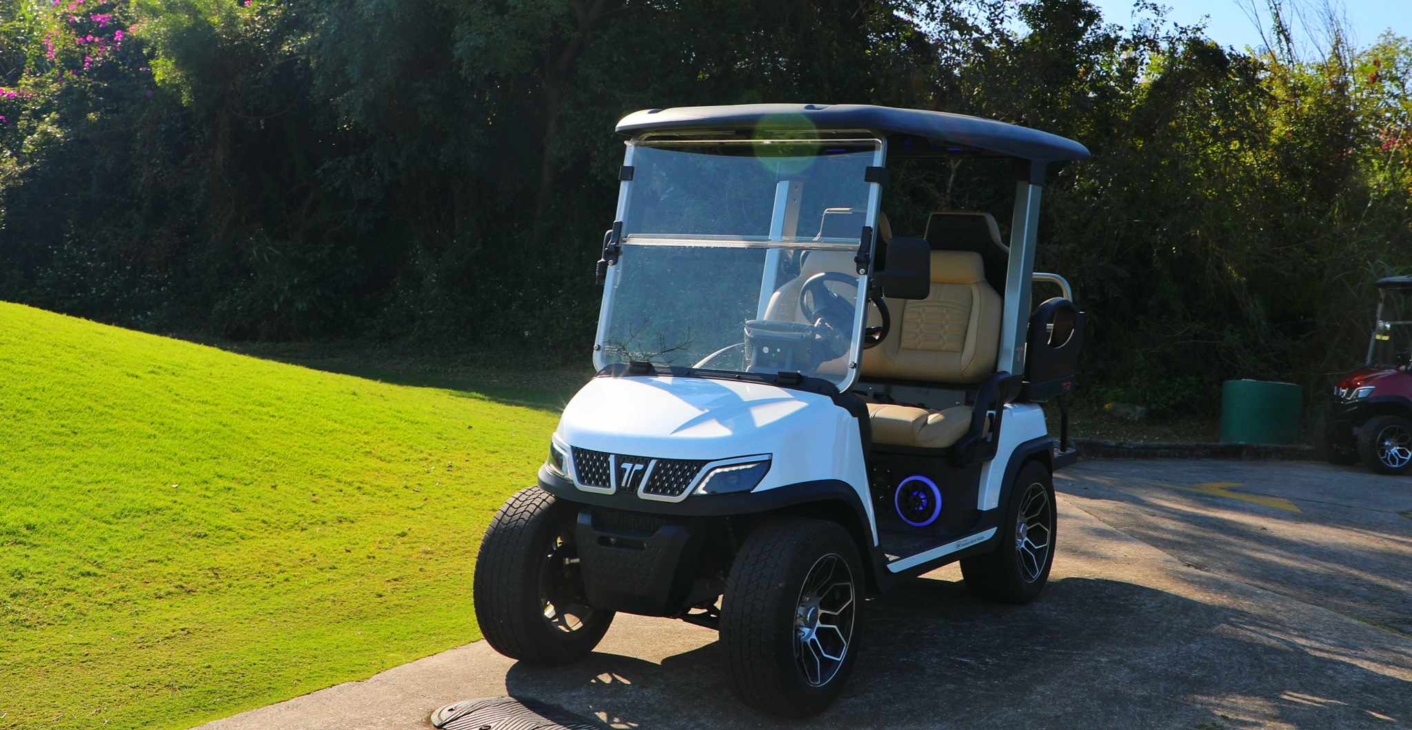 Mini Electric Cart on Golf Course
