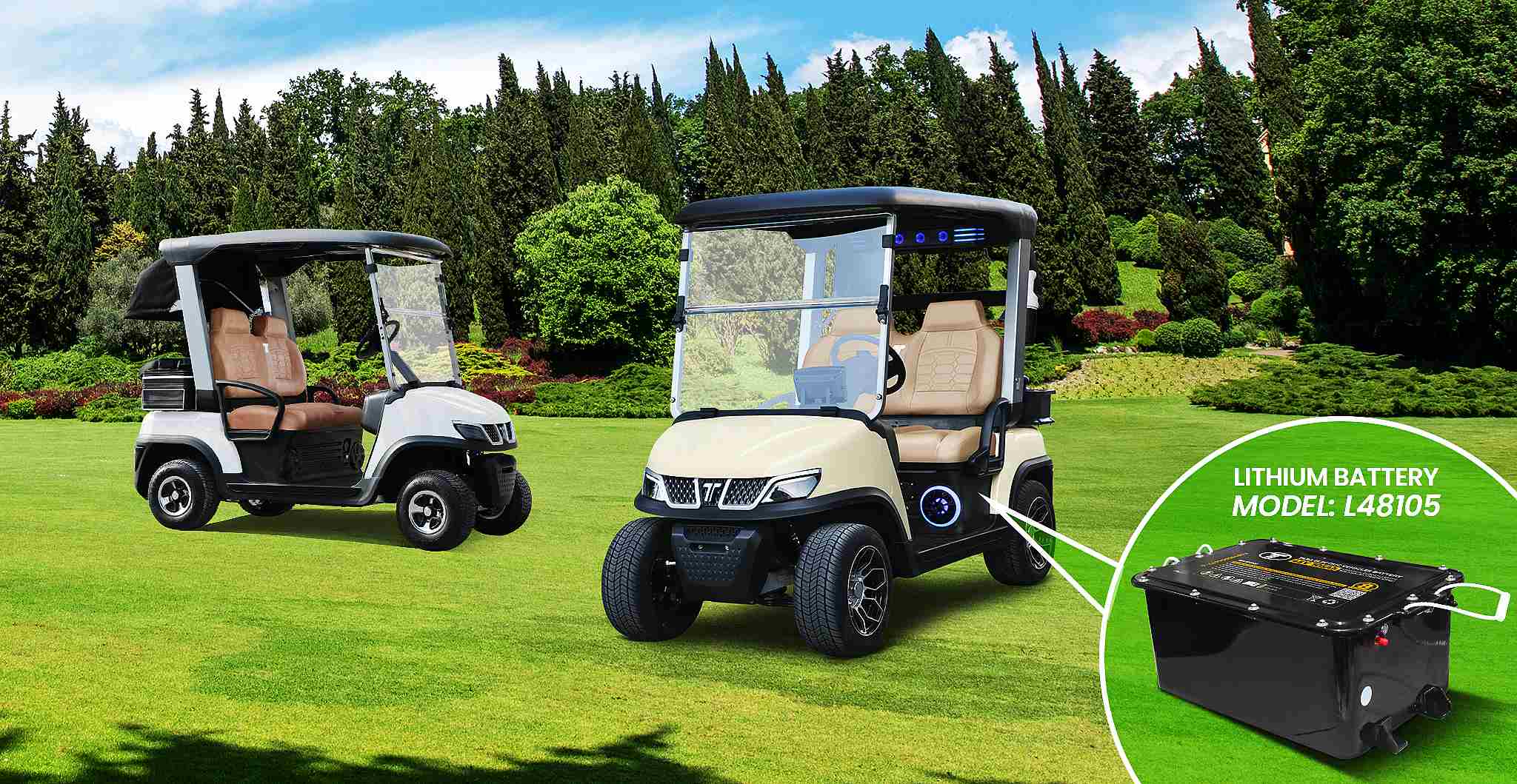 Mini Golfcart for Golf Course Transportation