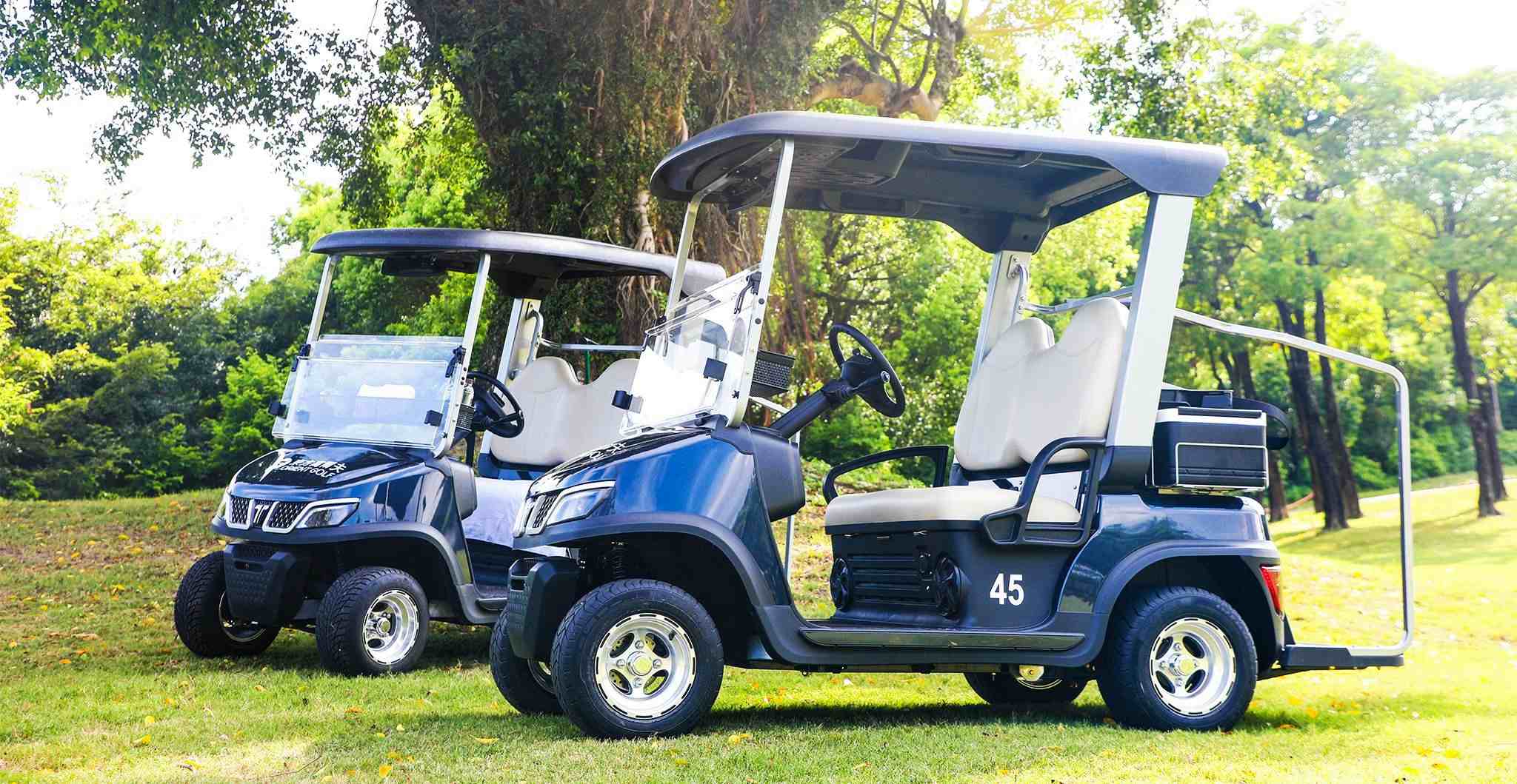 TARA Two Seater Golf Cart – Compact Electric Golf Vehicle
