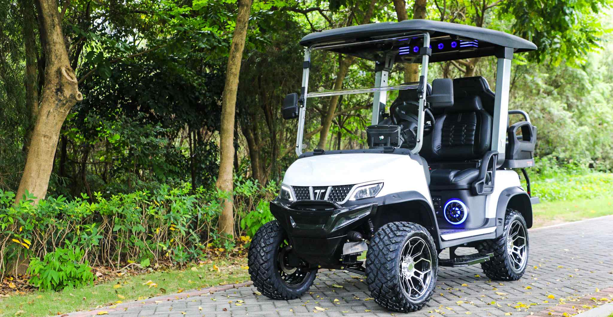 Tara 4 Passenger Golf Cart for Multi-Scene Use