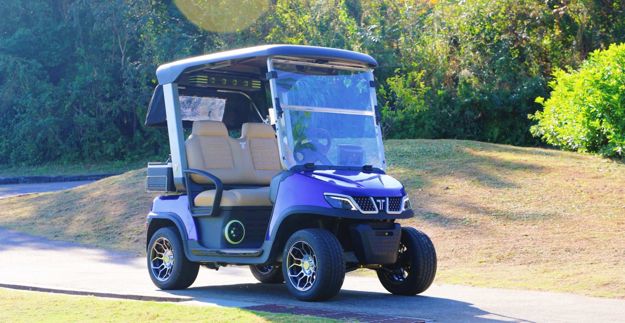 Tara 4x4 Golf Cart Full View