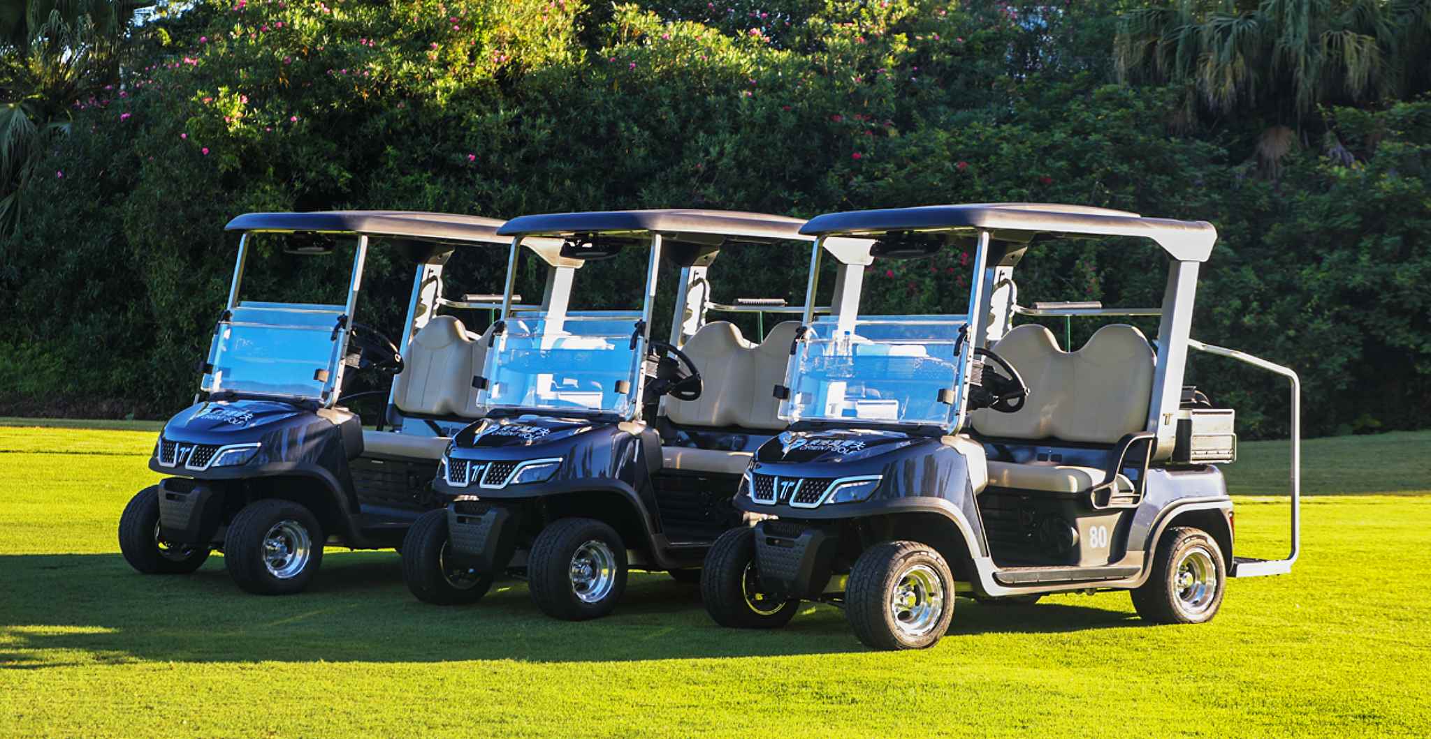 Tara 6 Seater Golf Cart