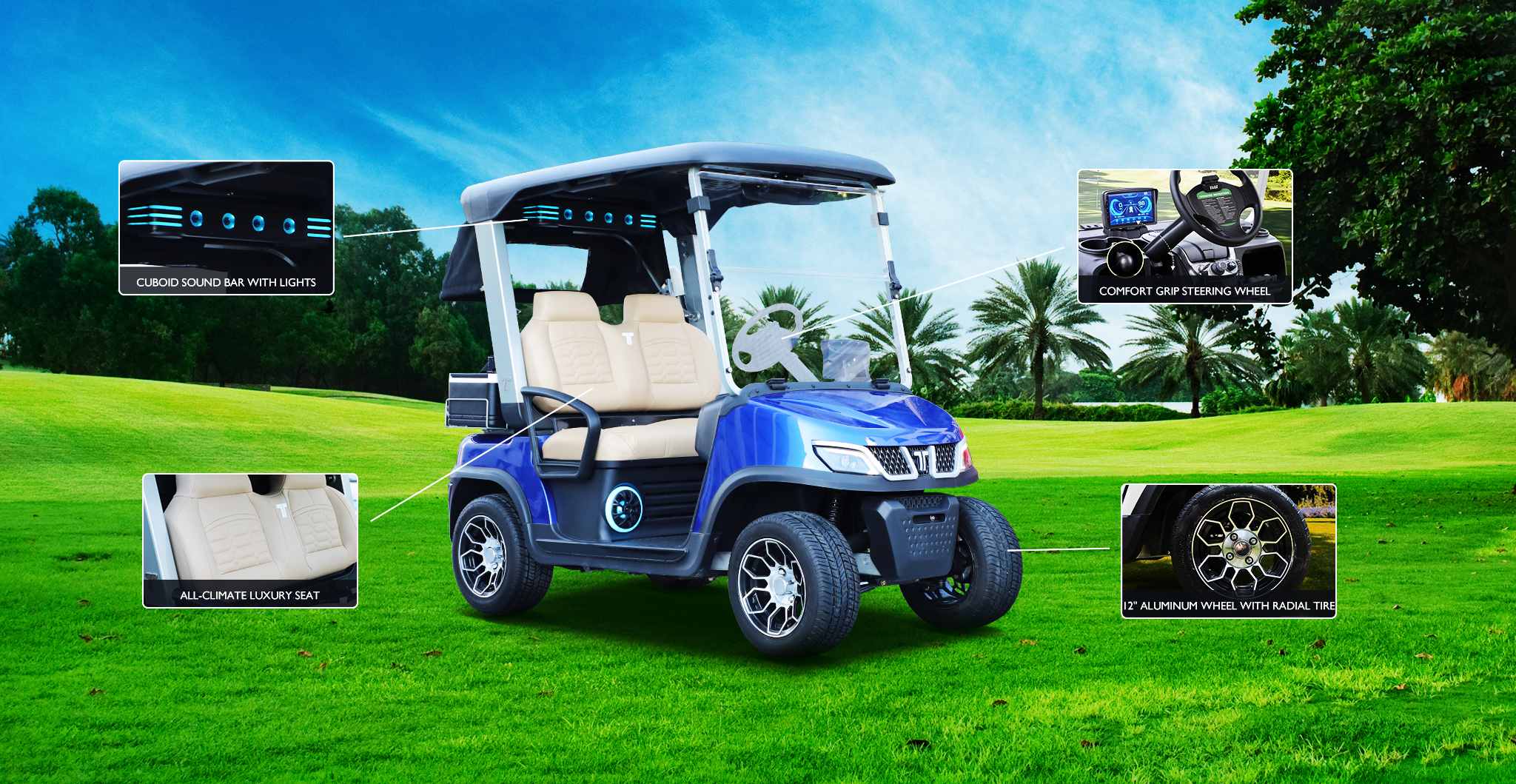 Tara Affordable Electric Golf Cart – Budget and Reliable