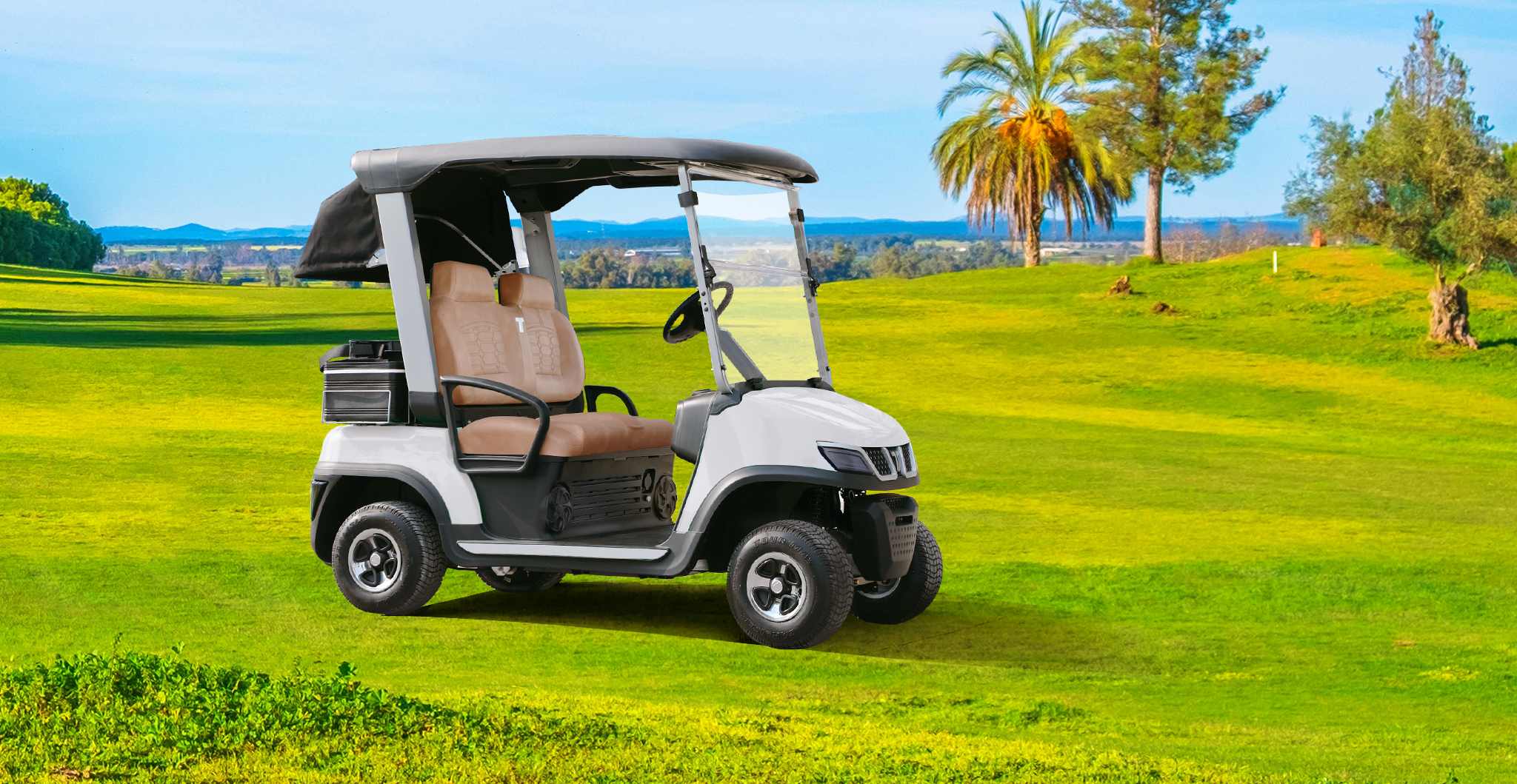 Tara Battery Powered Golf Cart – High Performance Electric Golf Cart