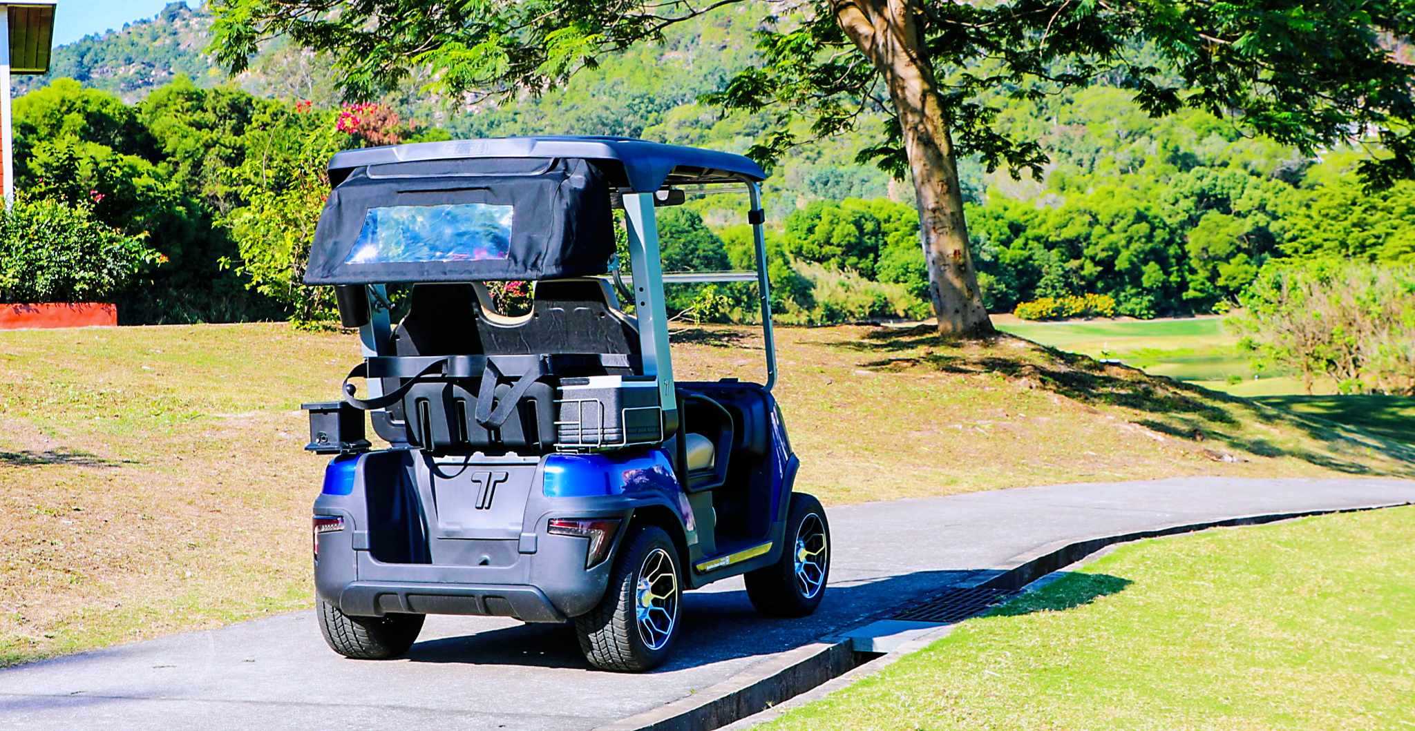 Tara Best Electric Golf Cart – High Performance Smart Golf Vehicle