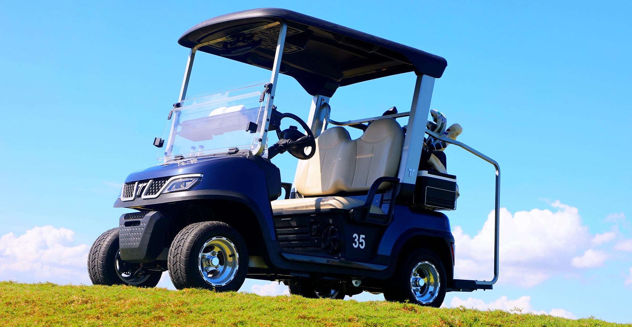 Tara Brand New Golf Cart – High Performance Electric Model