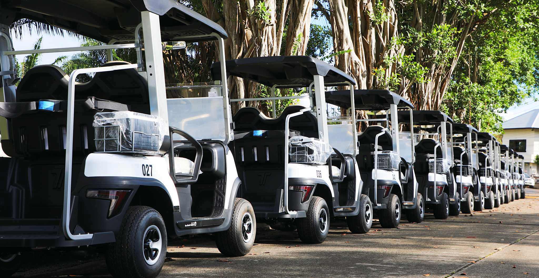 Tara Electric Buggy Car for Resorts and Outdoor Use