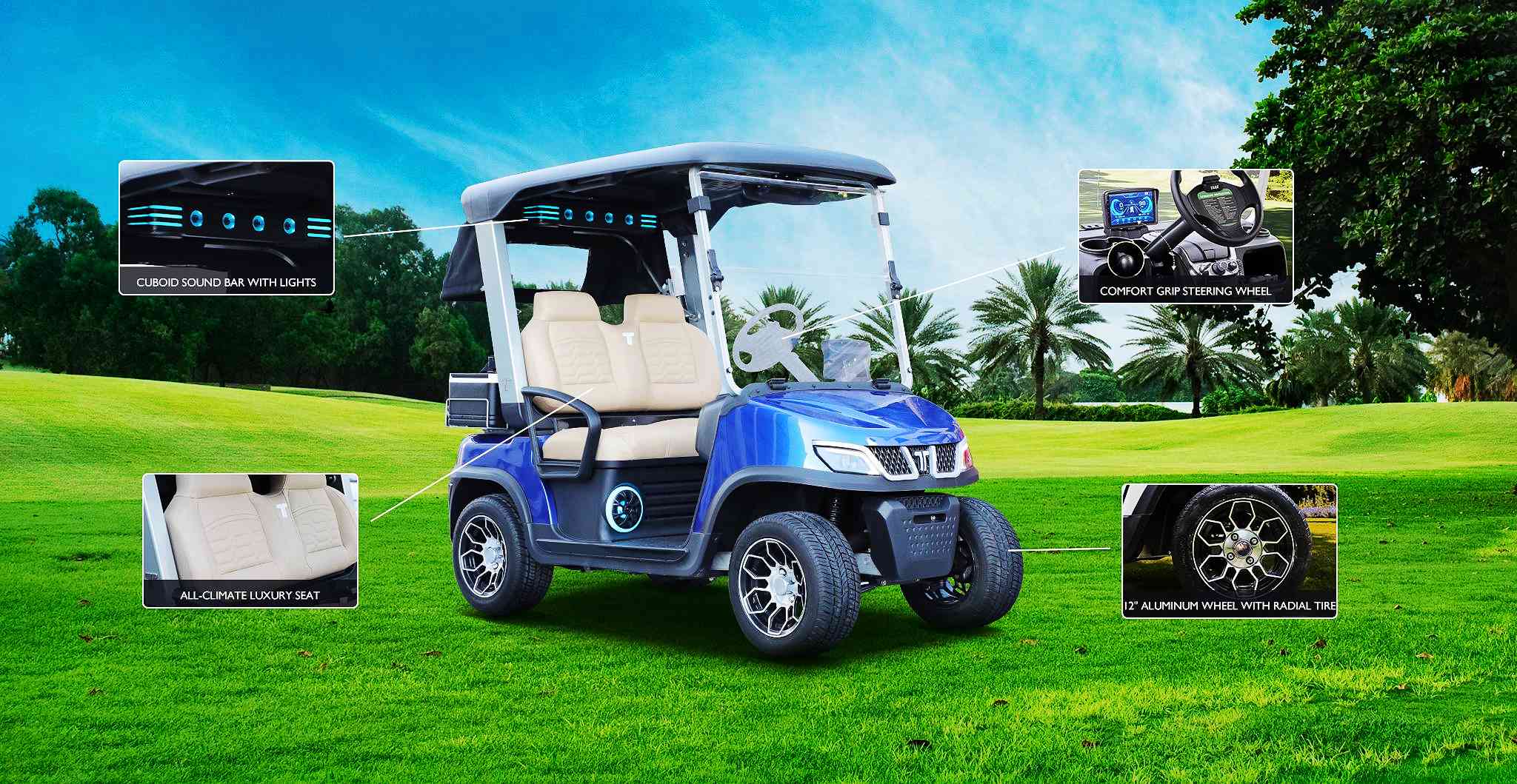 Tara Electric Golf Cart Cost Overview