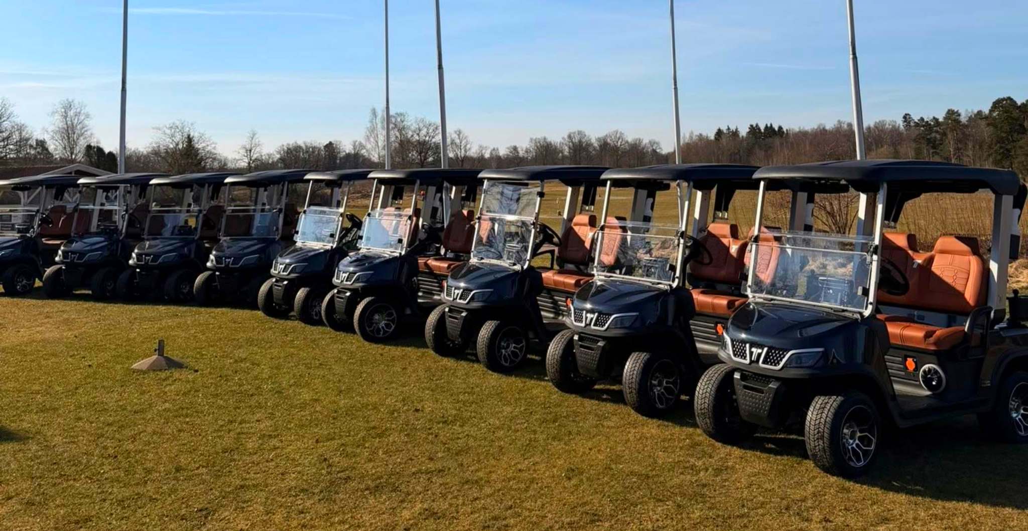 Tara Electric Golf Cart Fleet on Golf Course with Lithium Battery Technology