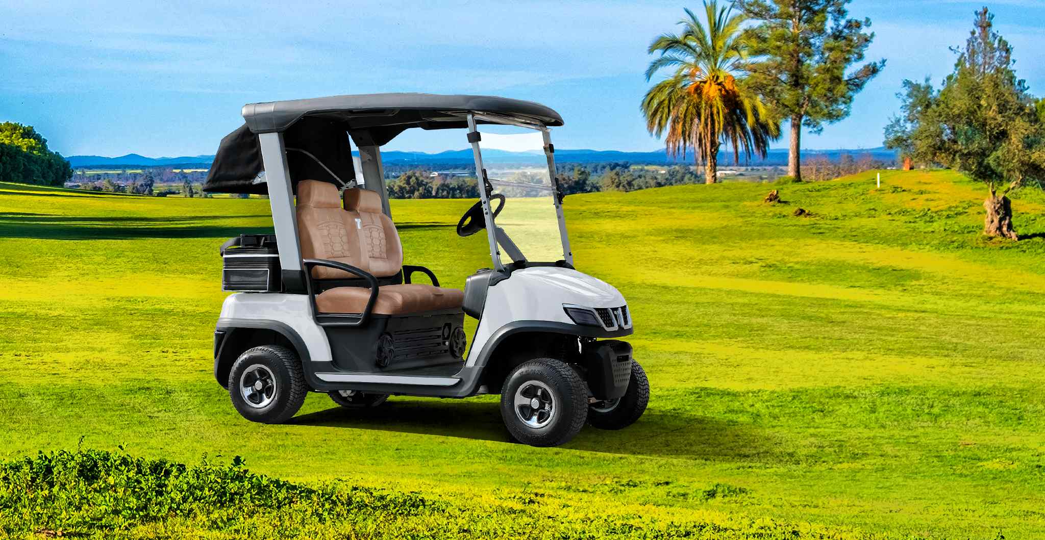 Tara Electric Golf Cart on Golf Course