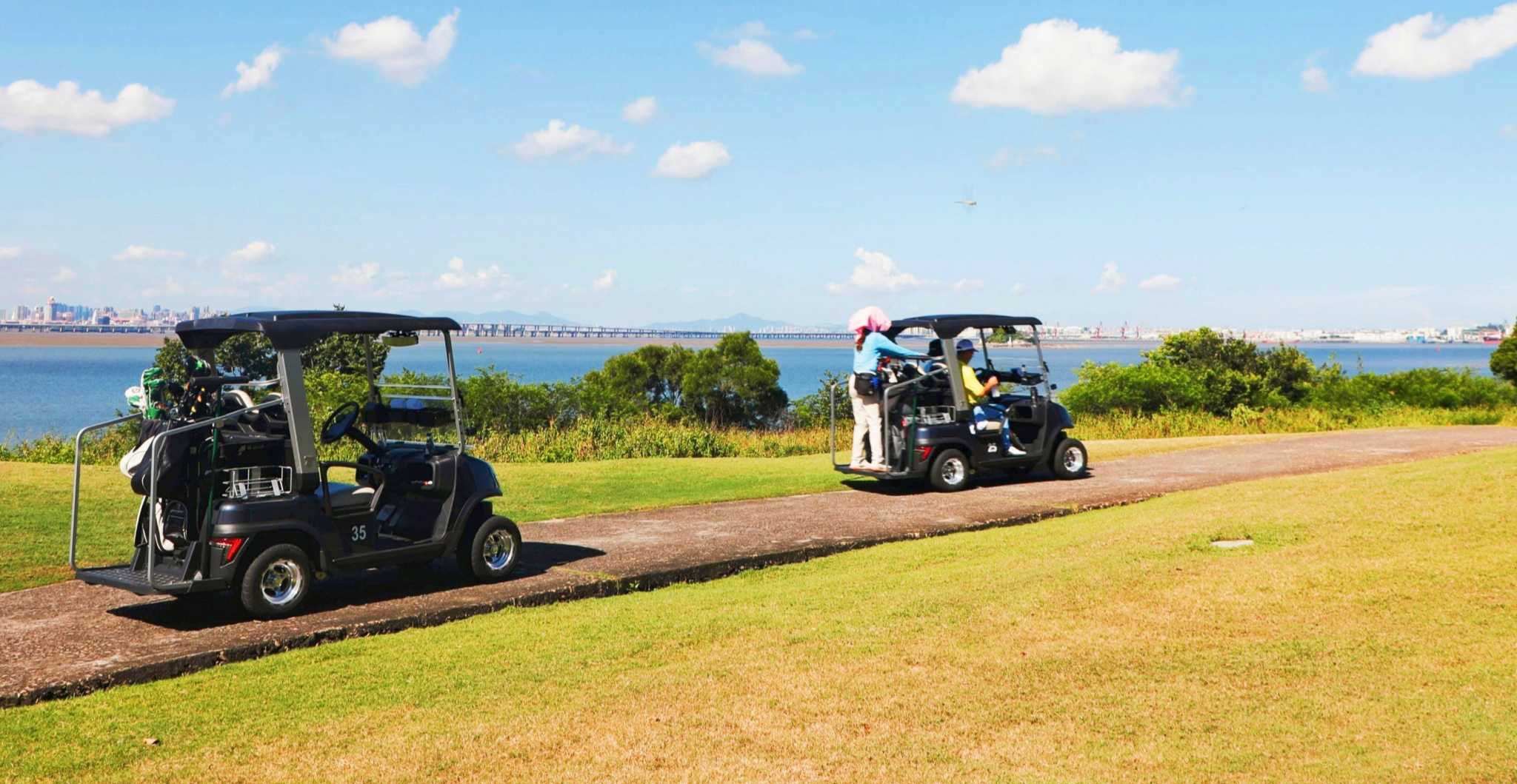 Tara Electrical Golf Cart for Golf Course