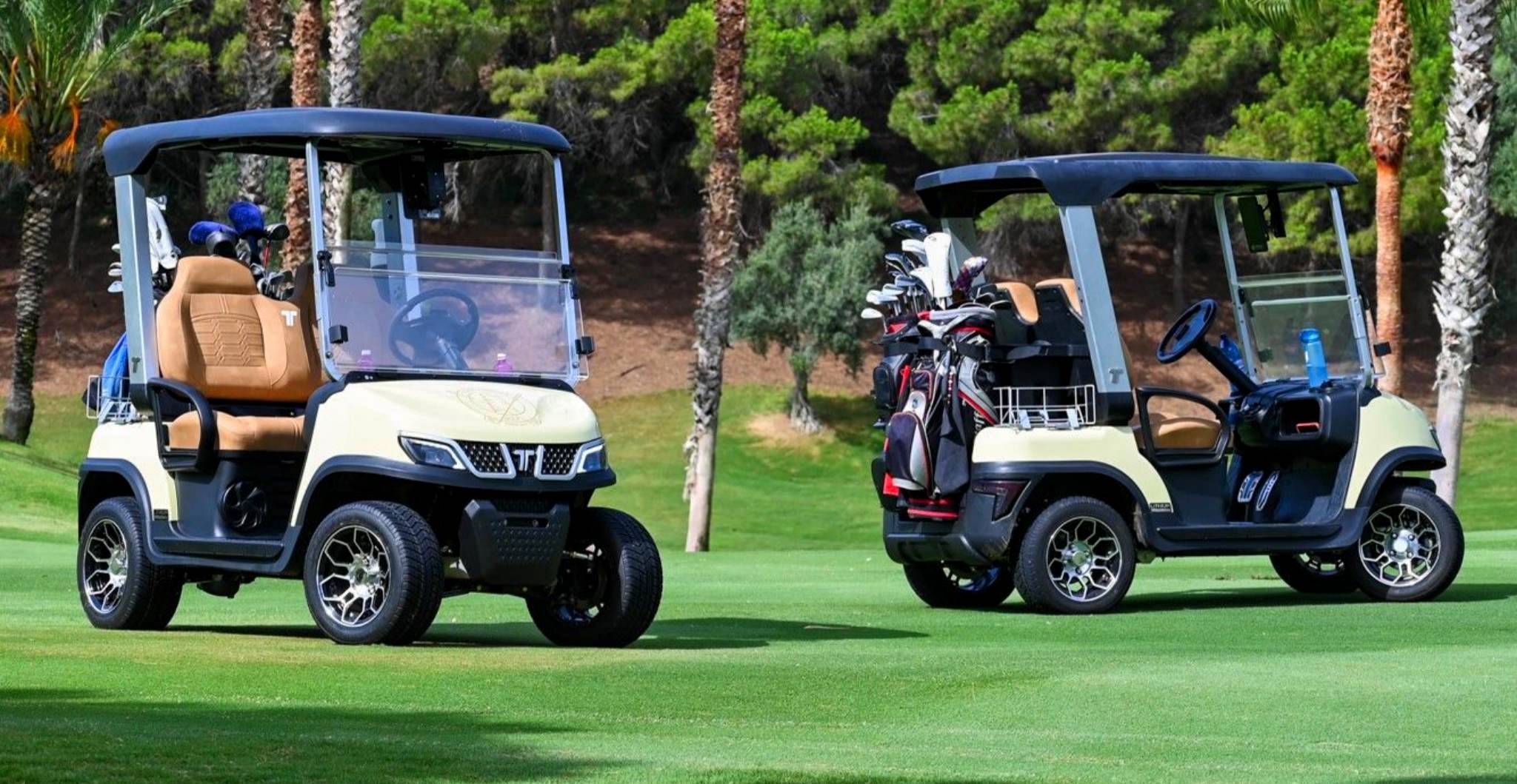 Tara Fleet Of Golf Carts