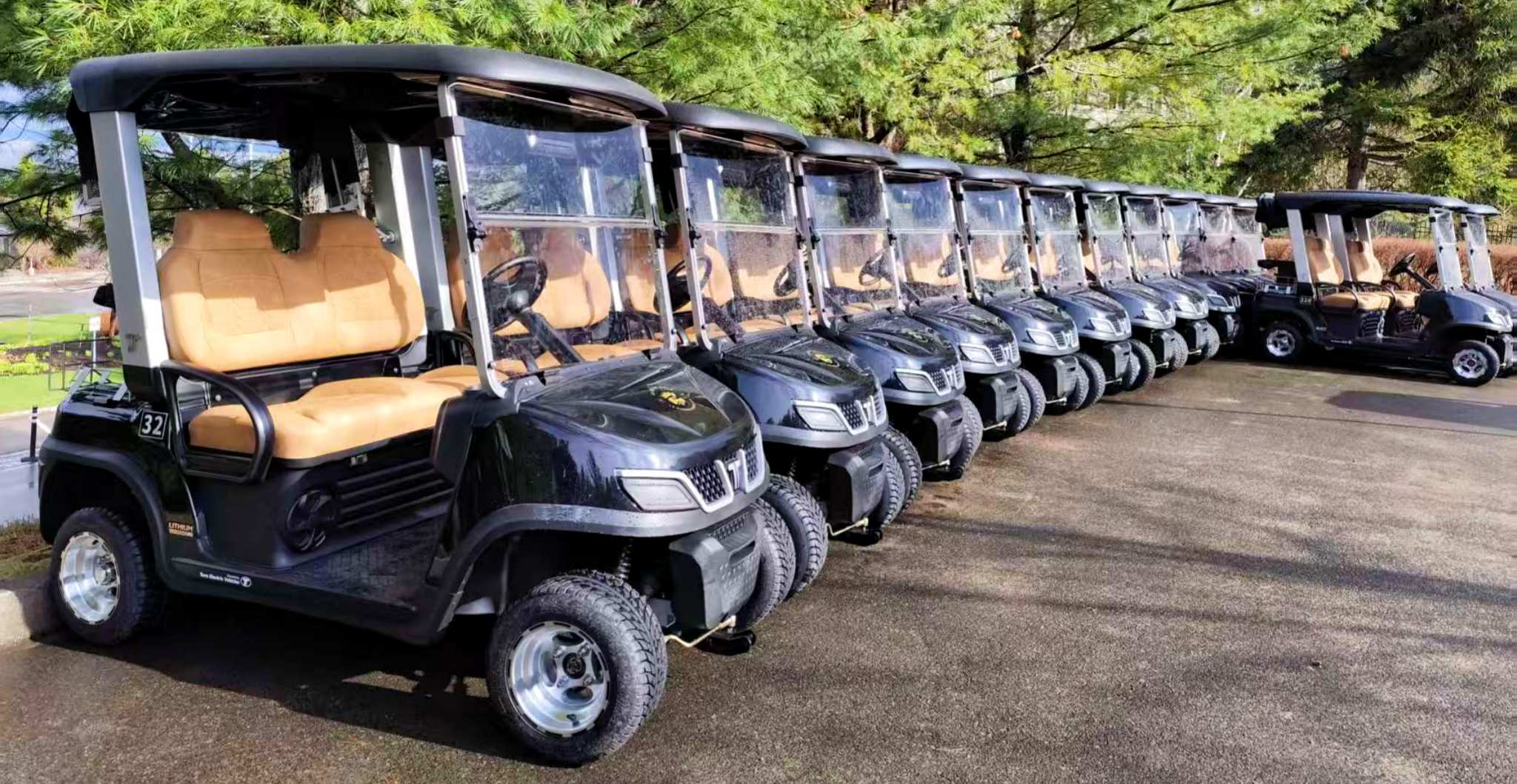 Tara GPS-golfkarvlootbeheer