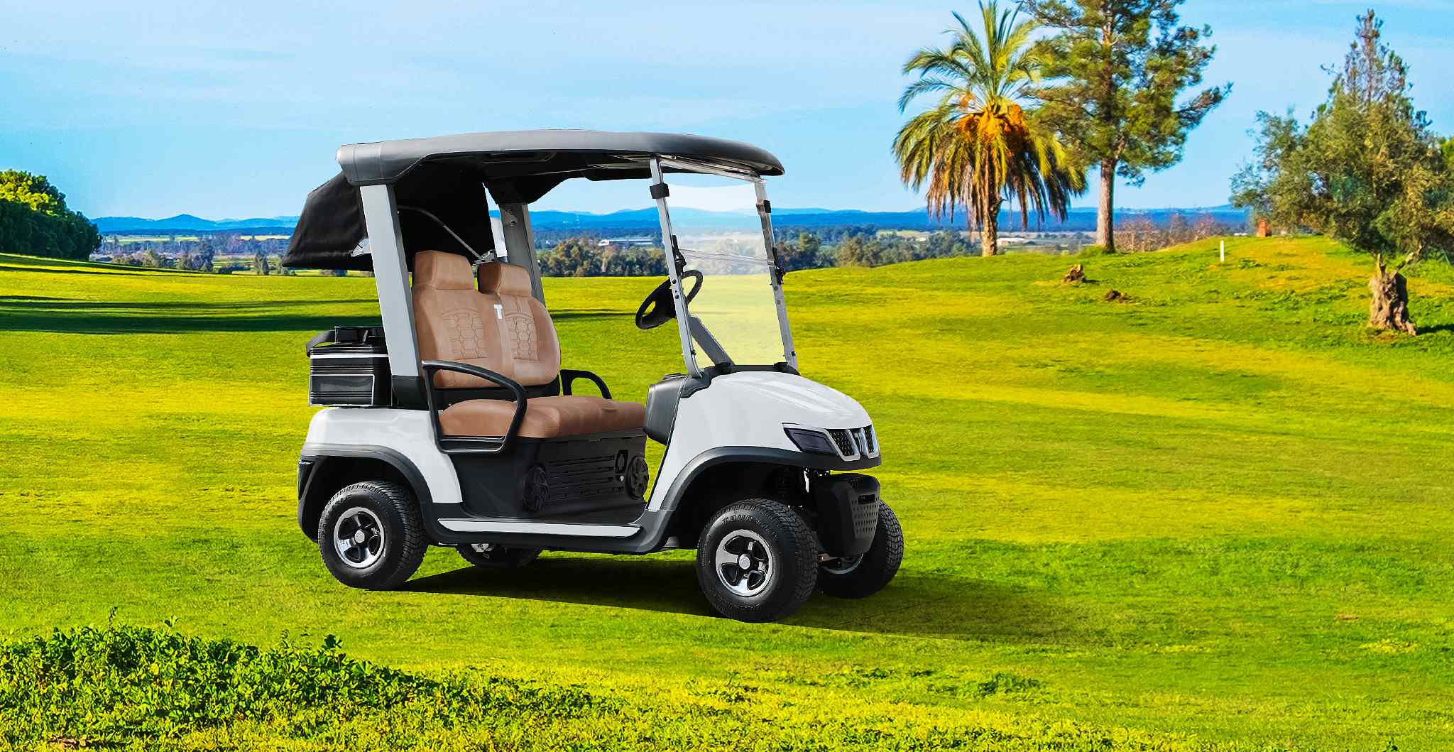 Tara Golf Cart Equipped with AC Motor System