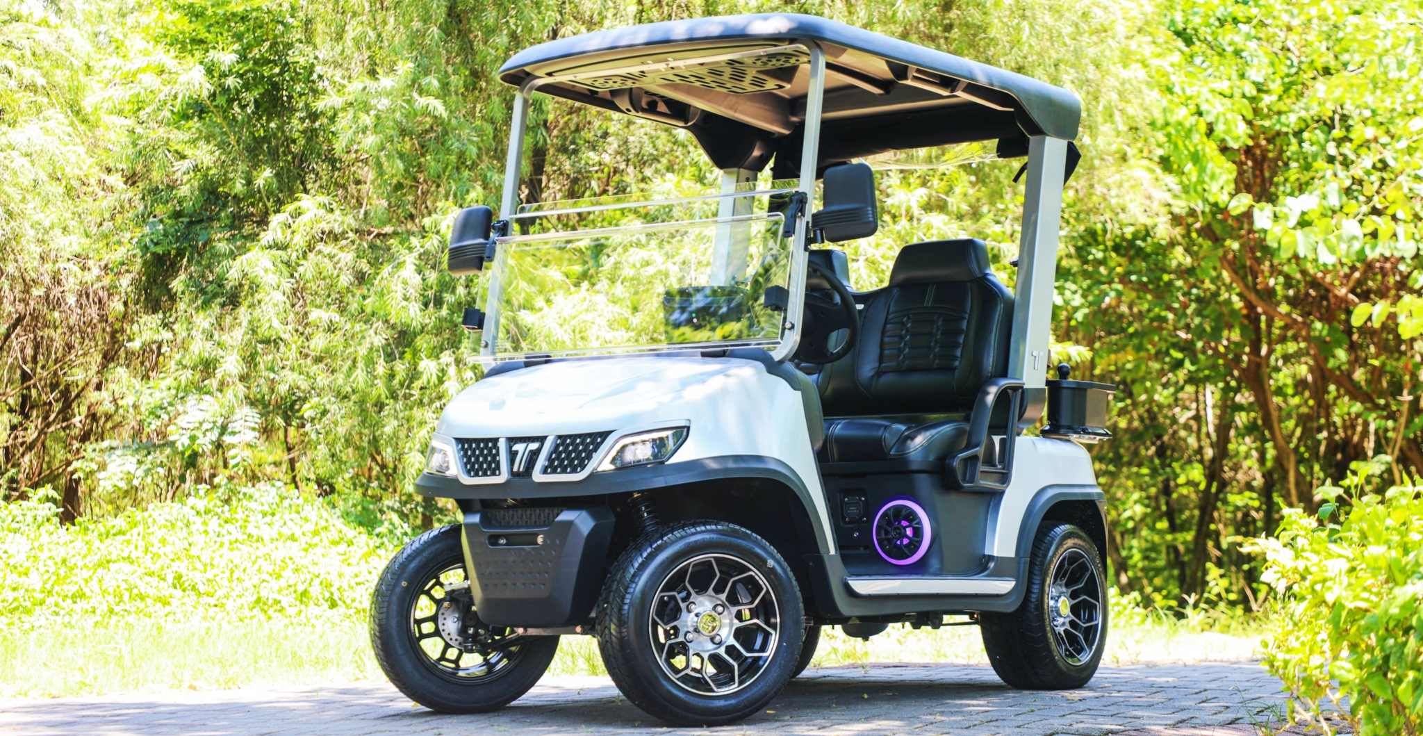 Tara Golf Cart Lighting System