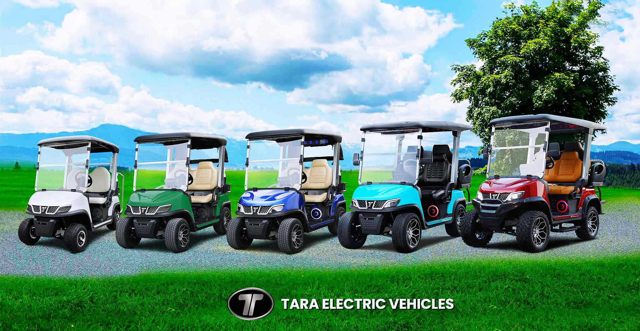 Tara Golf Cart With Lithium Battery