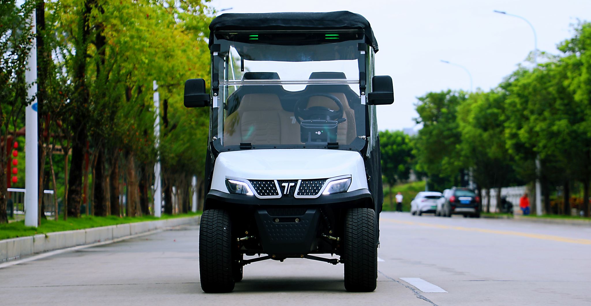 Tara Golf Carts with LED Lights – Safe Night Driving