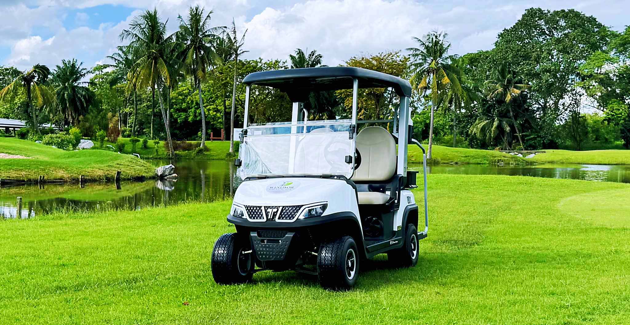 Tara Inexpensive Electric Golf Cart – Affordable & Durable