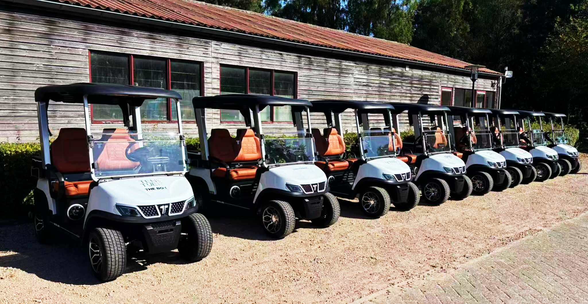 Tara Small Electric Cart – Compact Electric Vehicle for Urban and Resort Use