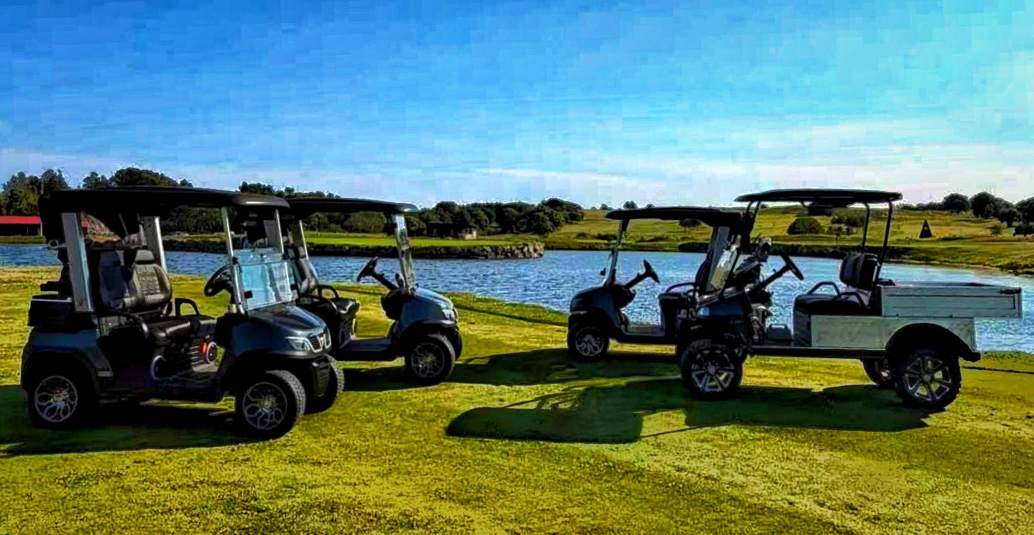 best-golf-cart-for-beach-use