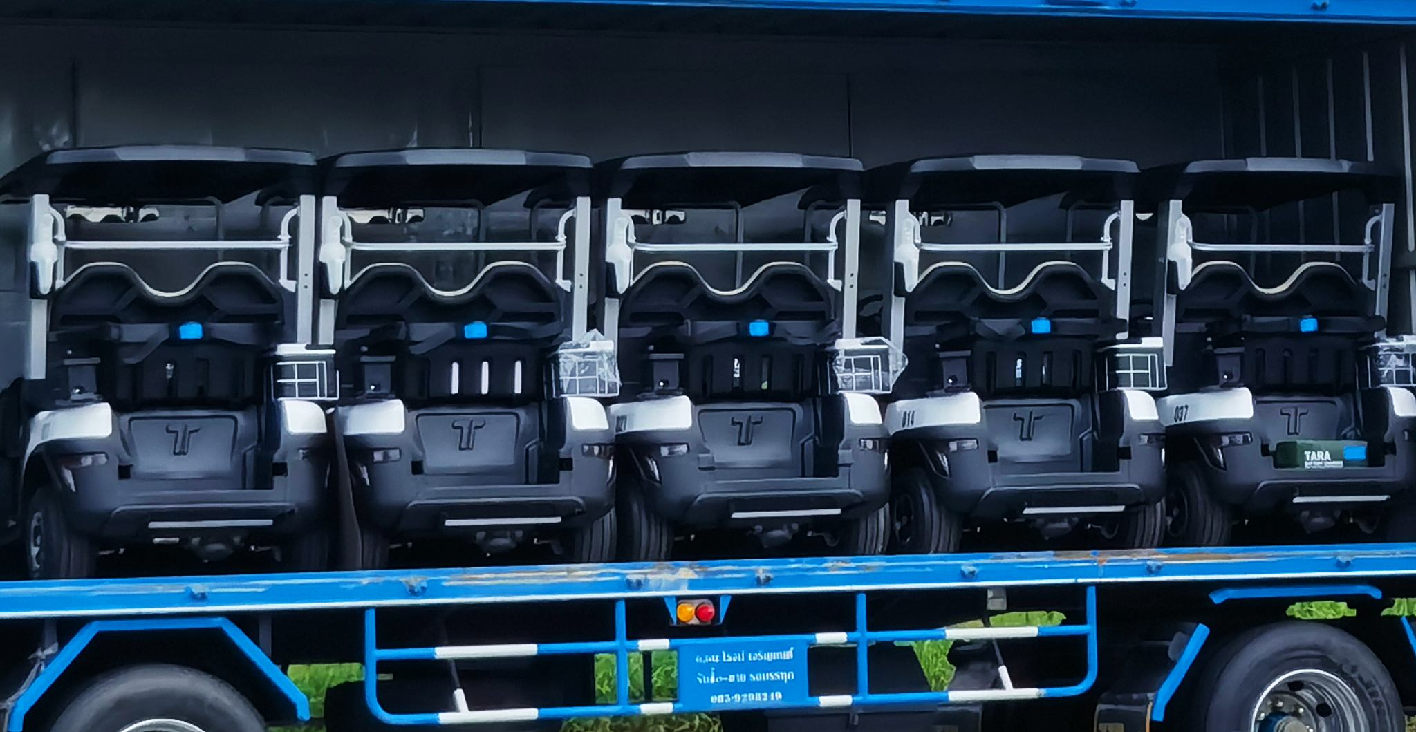 cart-in-golf-electric-golf-cart-tara