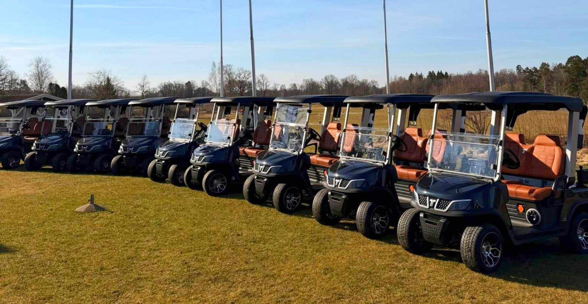 cheap-electric-golf-cart-tara