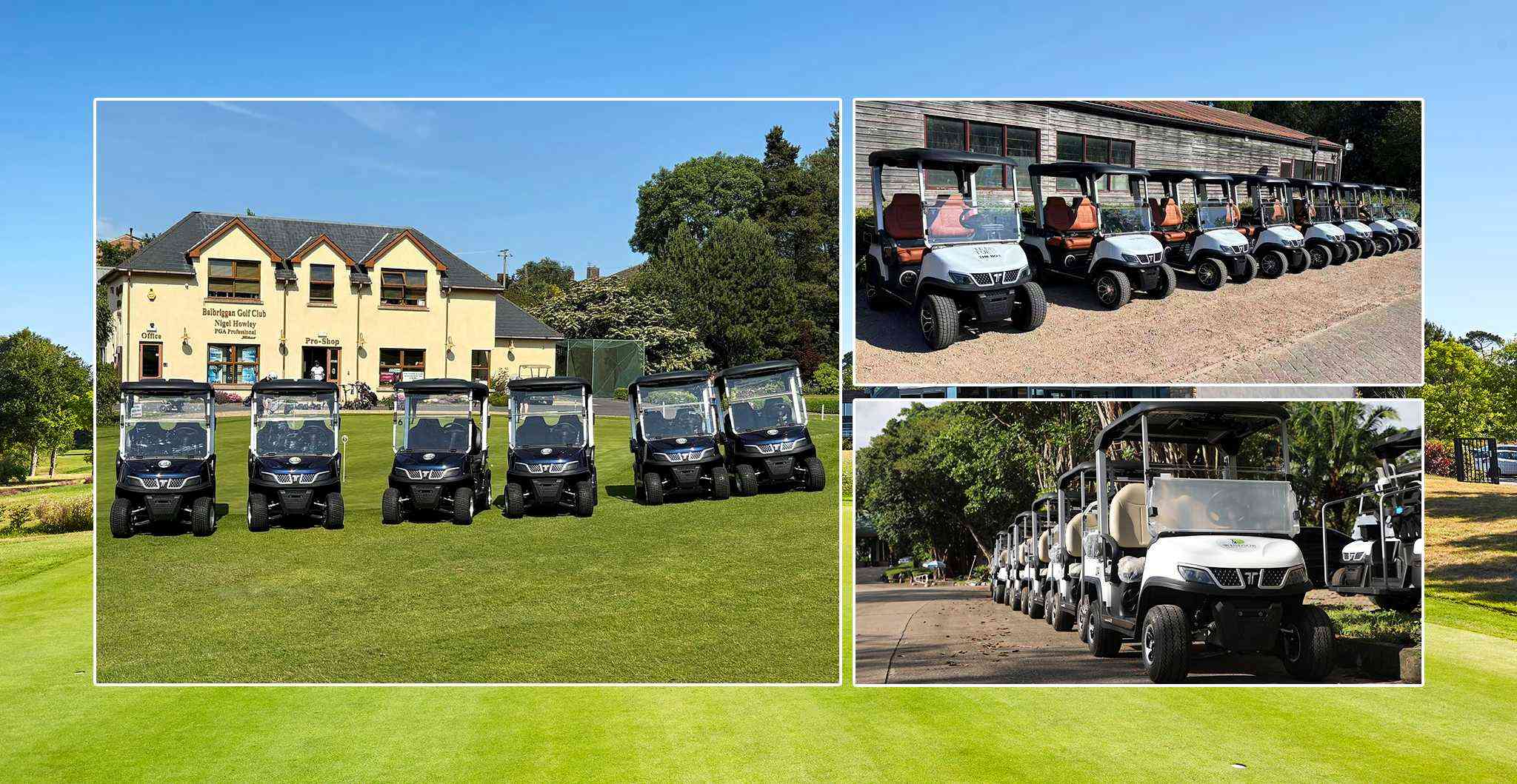 cheapest-golf-cart-tara-golf-course-fleet