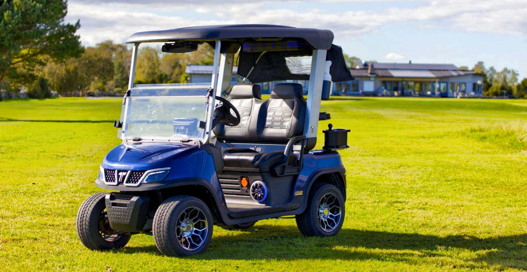 china-golf-cart-electric
