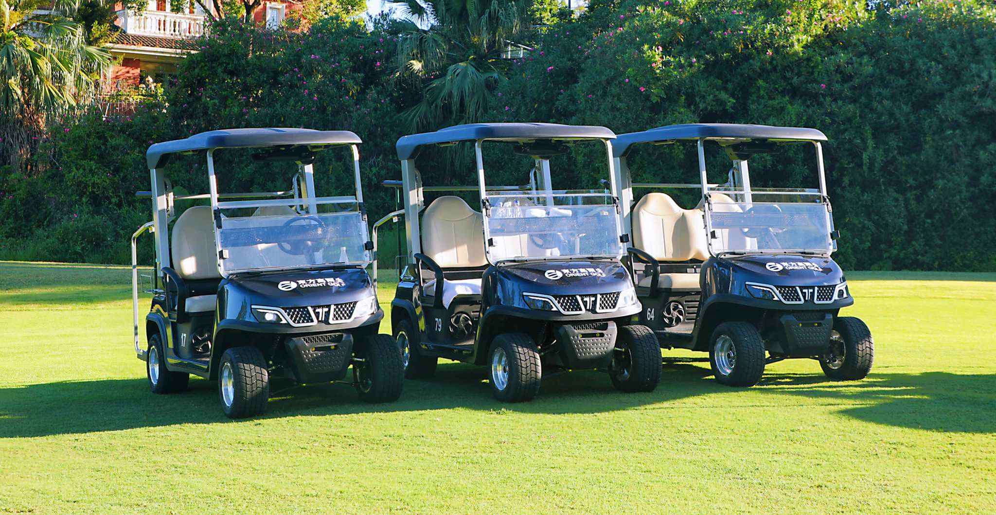 electric-golf-cart-local-sales
