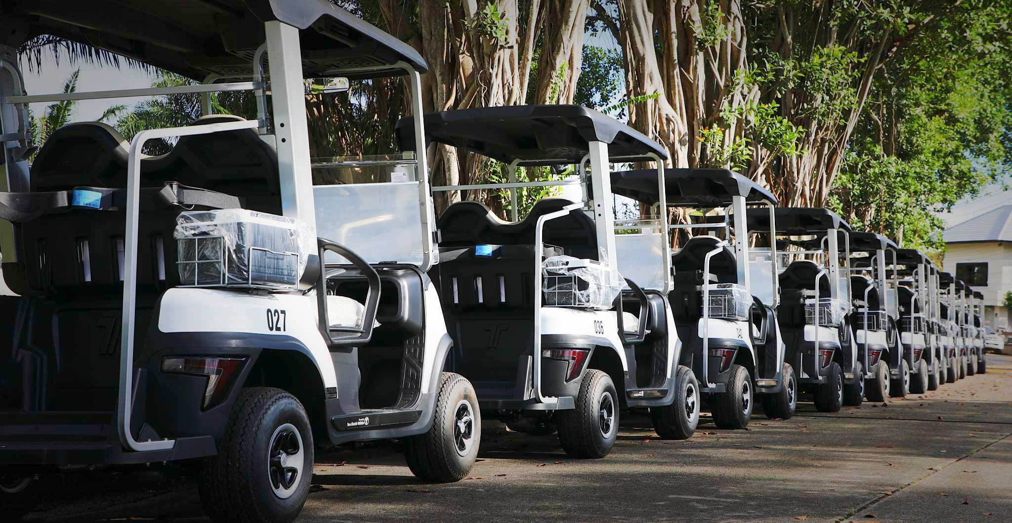 electric-golf-cart-manufacturers