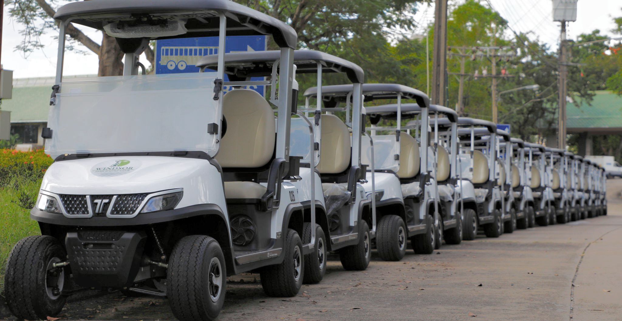electric-golf-cart-sale-tara