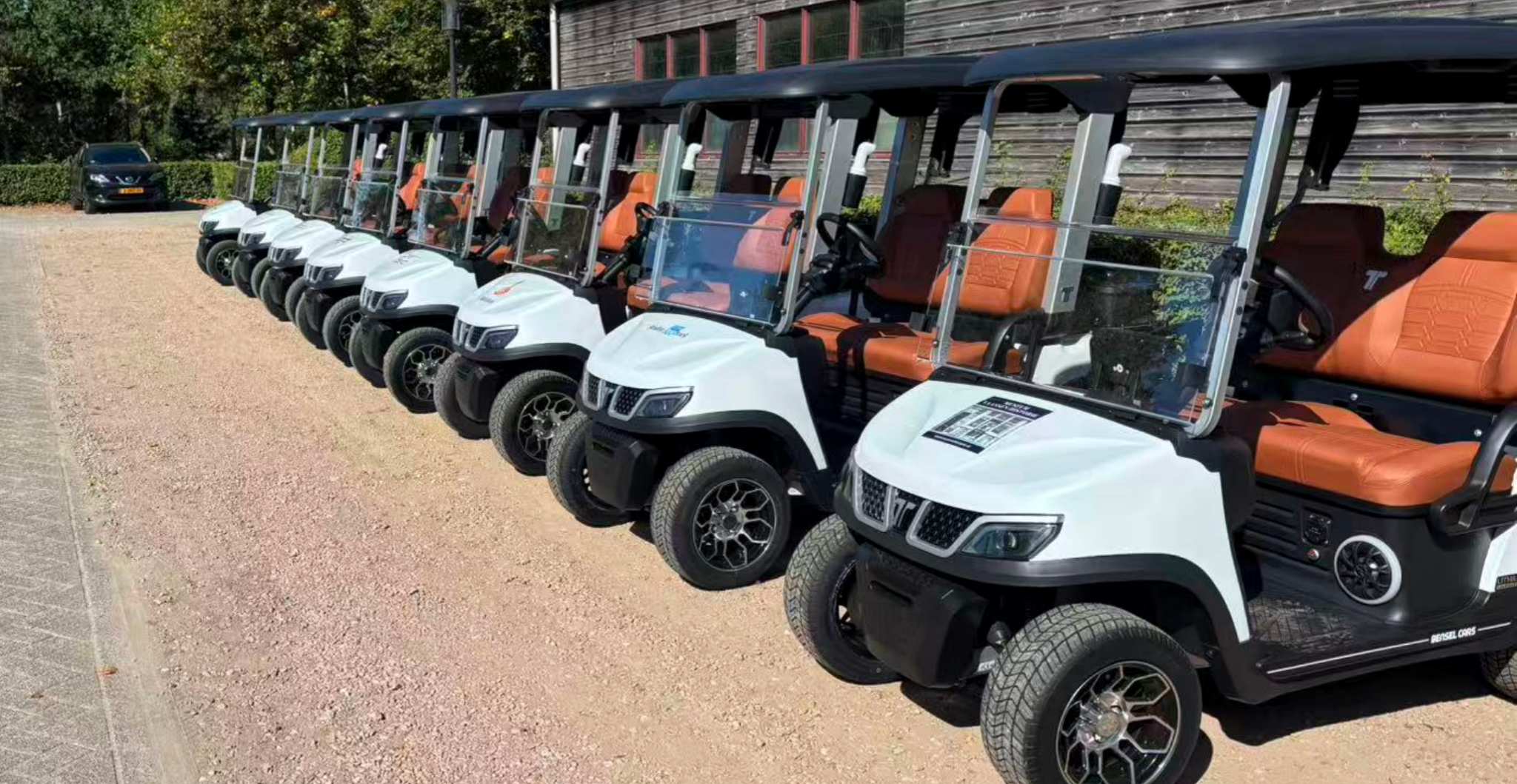 golf-buggy-manufacturer-electric-golf-carts