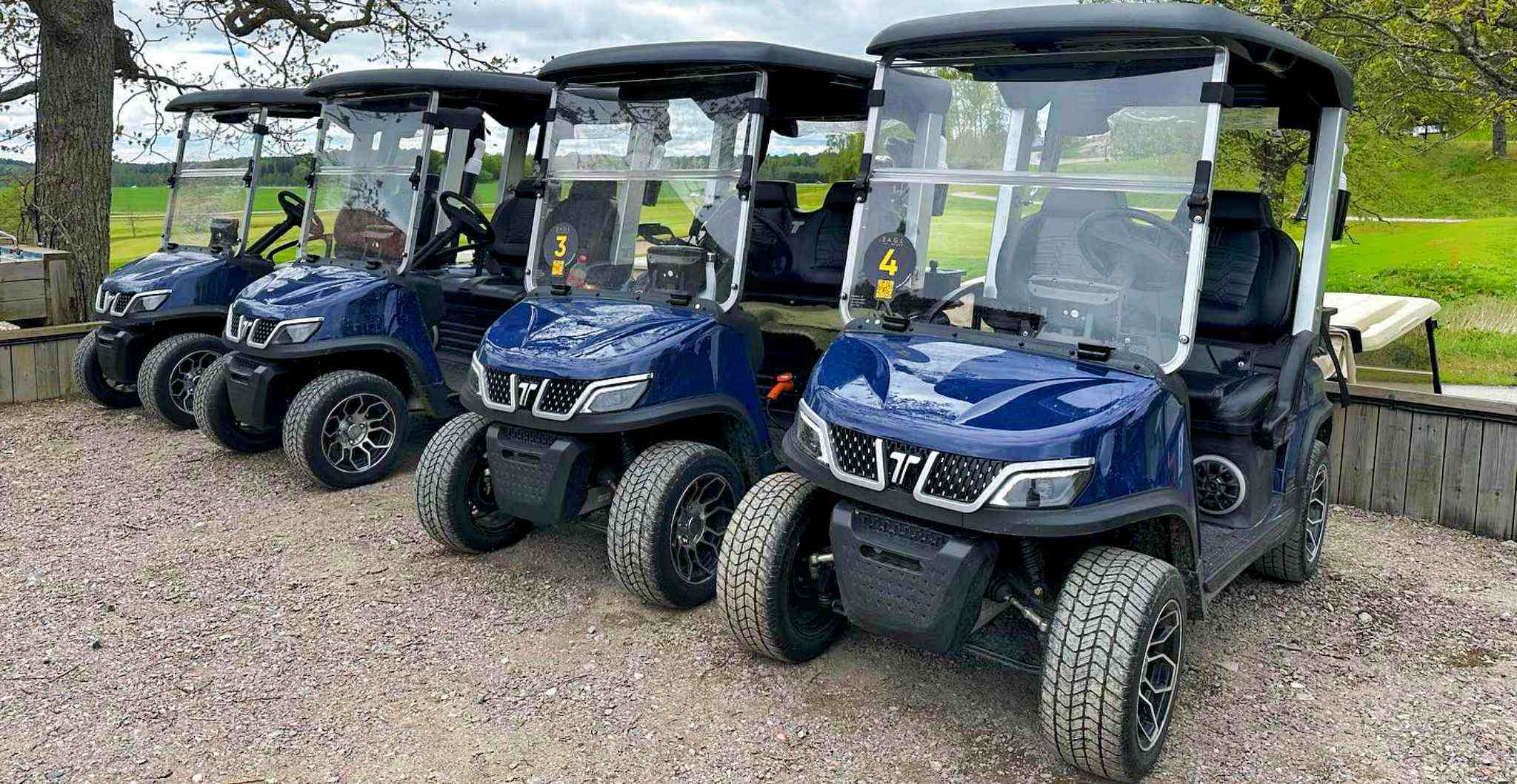golf-cart-2-seater