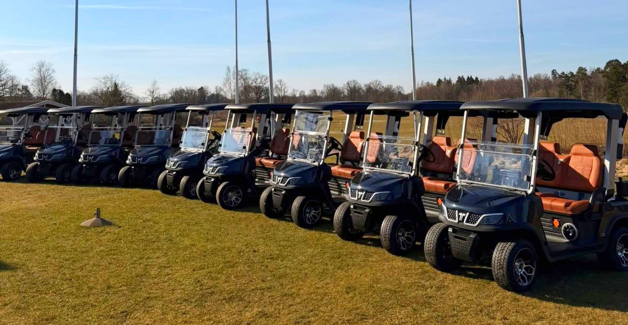 golf-cart-maintenance-gas-vs-electric