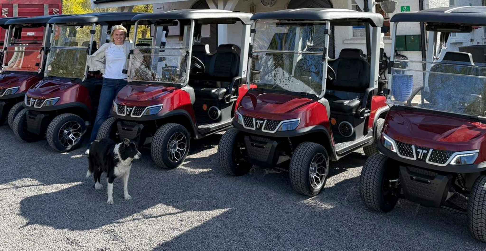 https://www.taragolfcart.com/fleet-golf-carts/