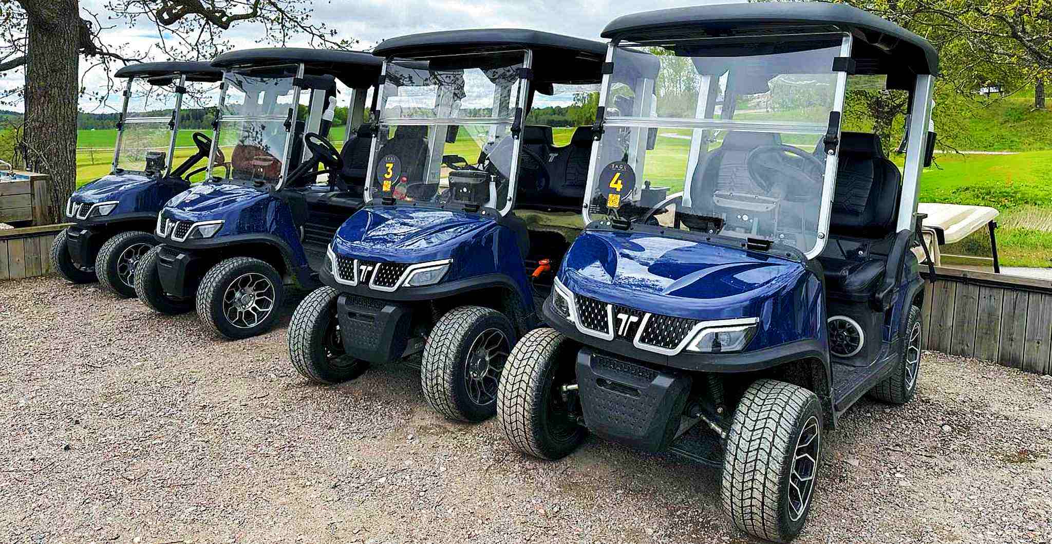 neighborhood-golf-cart-tara