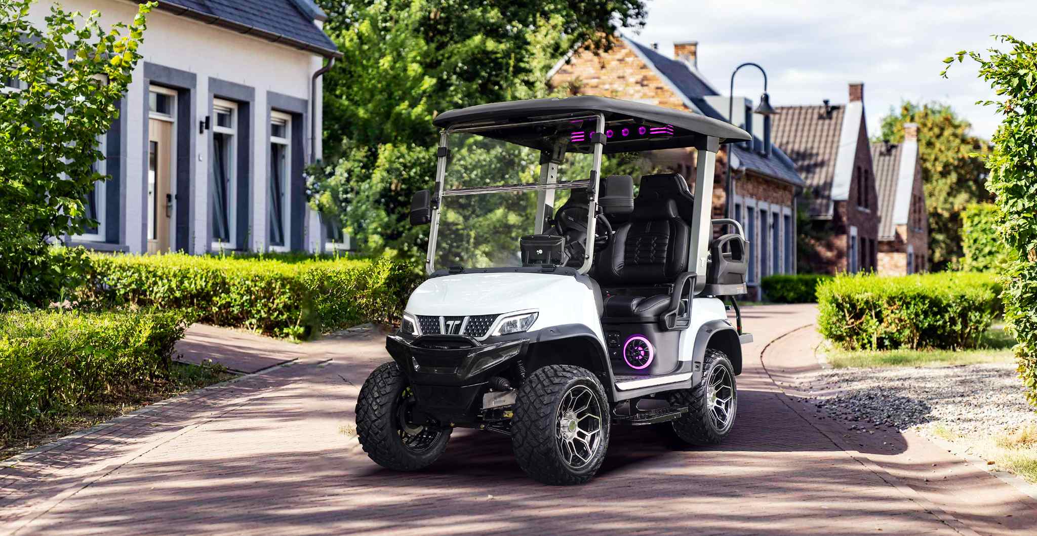 nev-golfkarre-buert-elektrysk auto
